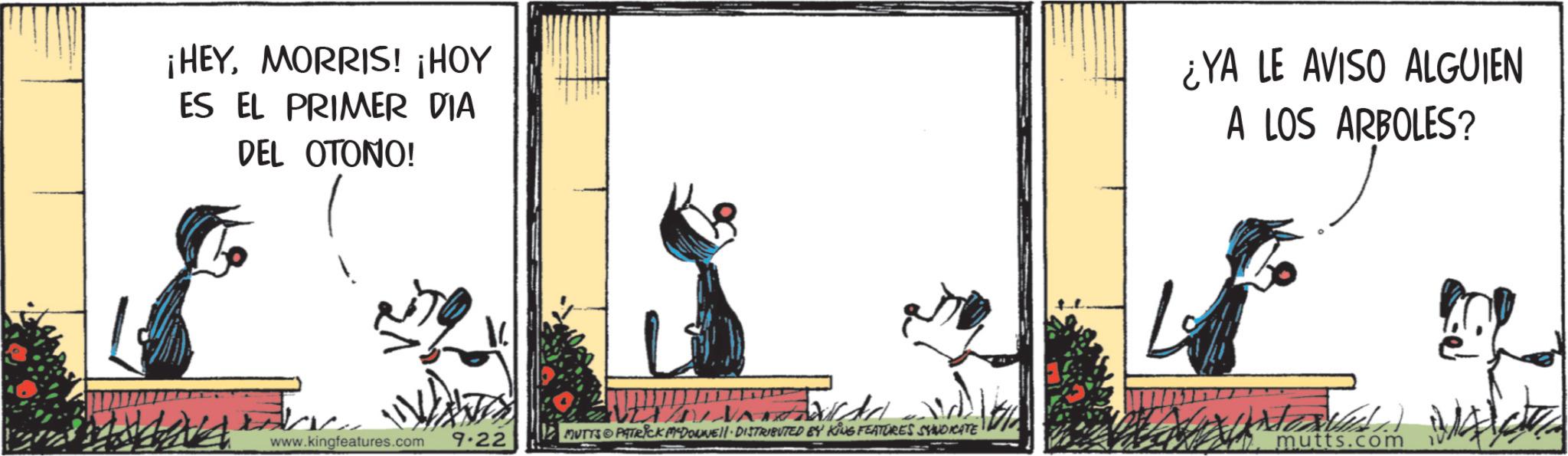 Animated cartoon OCR: ¡HEYMORRIS! ¡HOY ES EL PRIMER DIA DEL OTONO! ¿YA LE AVISO ALGUIEN A LOS ARBOLES? www.kingfeatures.com 9.22 MUTTS PATRICK MCDONNELL DISTRIBUTED BY KING FEATURES SYNDICATE mutts.com 14 ¡ HEYMORRIS ! ¡ HOY ES EL PRIMER DIA DEL OTONO ! ¿ YA LE AVISO ALGUIEN A LOS ARBOLES ? www.kingfeatures.com 9.22 MUTTS PATRICK MCDONNELL DISTRIBUTED BY KING FEATURES SYNDICATE mutts.com 14