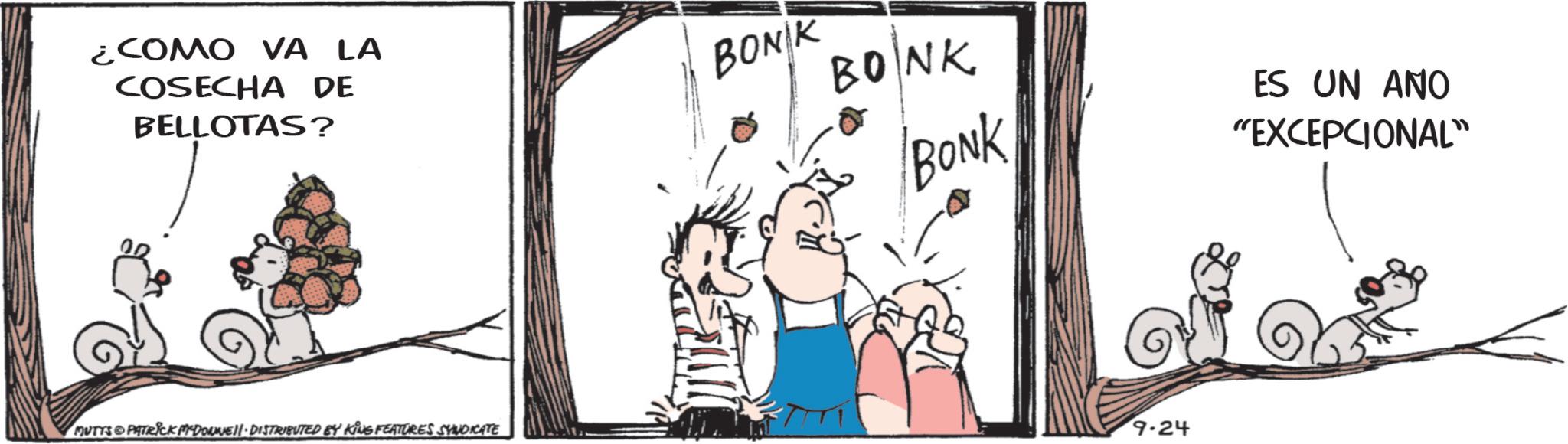 Photo caption OCR: ¿COMO VA LA COSECHA DE BELLOTAS? BONK BONK BONK ES UN ANO "EXCEPCIONAL" MUTTS & PATRICK M-DOWNE!!· DISTRIBUTED BY KING FEATURES SYNDICATE 9-24 ¿ COMO VA LA COSECHA DE BELLOTAS ? BONK BONK BONK ES UN ANO " EXCEPCIONAL " MUTTS & PATRICK M - DOWNE !! · DISTRIBUTED BY KING FEATURES SYNDICATE 9-24