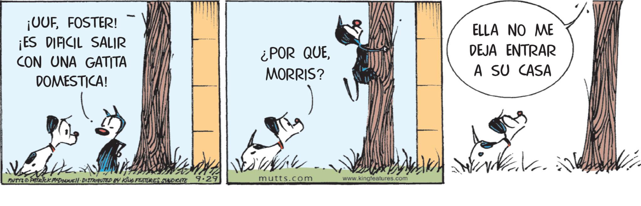 Animated cartoon OCR: ¡UUFFOSTER! ¡ES DIFICIL SALIR CON UNA GATITA DOMESTICA! ¿POR QUEMORRIS? ELLA NO ME DEJA ENTRAR A SU CASA MUTYS & PATRICK PYDORNEI DISTRIBUTED BY KING FEATURES SYNDICATE 9.29 mutts.com www.kingfeatures.com ¡ UUFFOSTER ! ¡ ES DIFICIL SALIR CON UNA GATITA DOMESTICA ! ¿ POR QUEMORRIS ? ELLA NO ME DEJA ENTRAR A SU CASA MUTYS & PATRICK PYDORNEI DISTRIBUTED BY KING FEATURES SYNDICATE 9.29 mutts.com www.kingfeatures.com