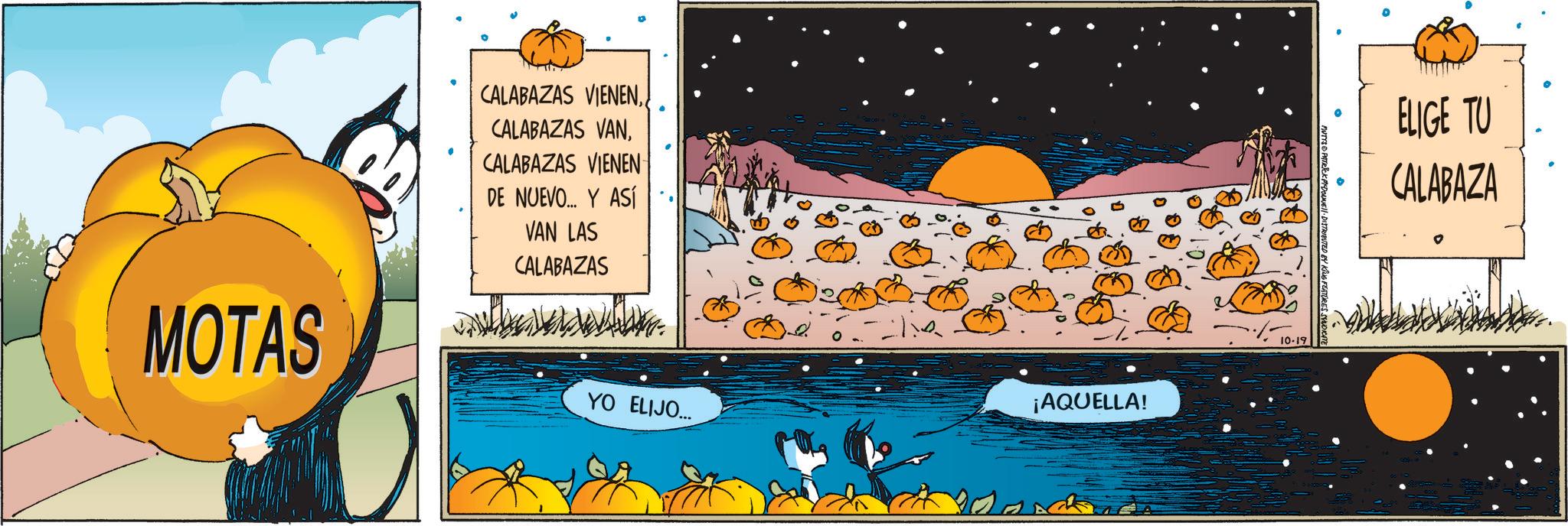 Winter squash OCR: MOTAS CALABAZAS VIENENCALABAZAS VIENEN DE NUEVO... Y ASÍ VAN LAS CALABAZAS YO ELIJO... ? ¡AQUELLA! PATRICK MYDOUNE DISTRIBUTED BY KING FEATURES 10-19 ELIGE TU CALABAZA MOTAS CALABAZAS VIENENCALABAZAS VANCALABAZAS VIENEN DE NUEVO ... Y ASÍ VAN LAS CALABAZAS YO ELIJO ... ? ¡ AQUELLA ! PATRICK MYDOUNE DISTRIBUTED BY KING FEATURES 10-19 ELIGE TU CALABAZA