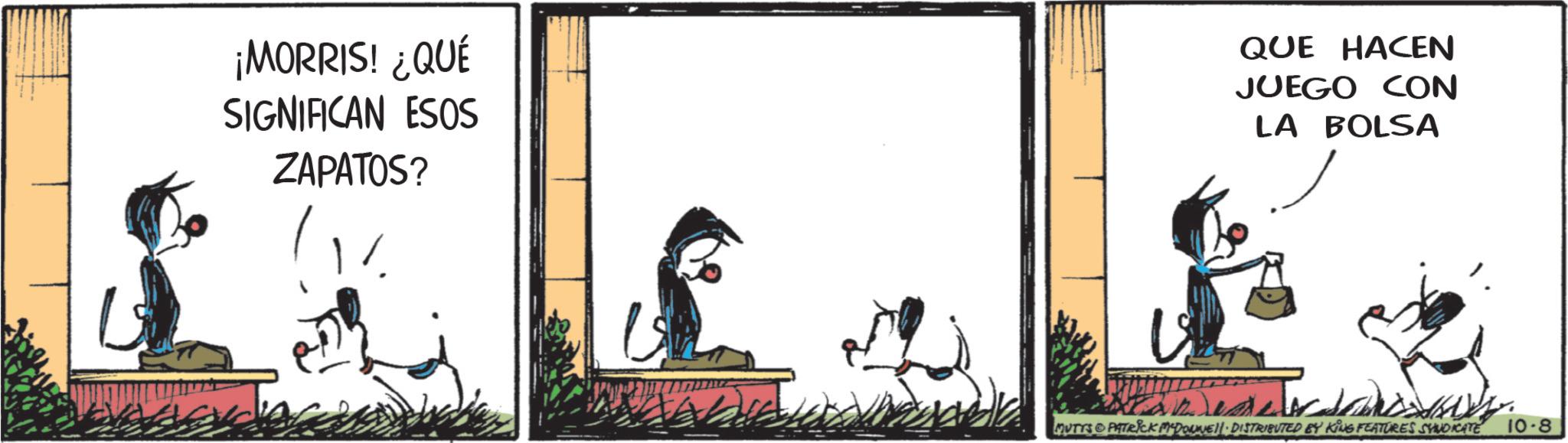 Photo caption OCR: ¡MORRIS! ¿QUÉ SIGNIFICAN ESOS ZAPATOS? QUE HACEN JUEGO CON LA BOLSA MUTTS & PATRICK MADONNELL DISTRIBUTED BY KING FEATURES SYNDICATE 10.8 ¡ MORRIS ! ¿ QUÉ SIGNIFICAN ESOS ZAPATOS ? QUE HACEN JUEGO CON LA BOLSA MUTTS & PATRICK MADONNELL DISTRIBUTED BY KING FEATURES SYNDICATE 10.8