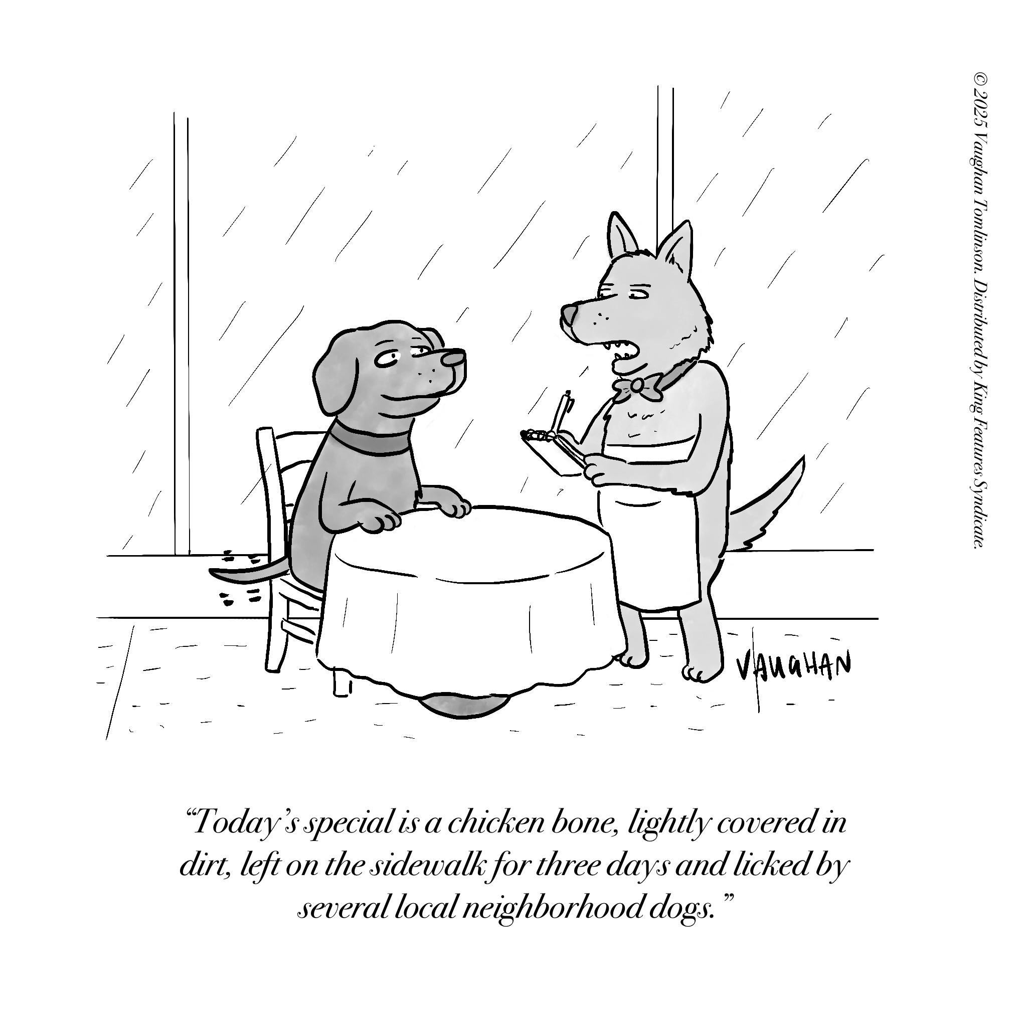 Fiction OCR: ©2025 Vaughan Tomlinson. Distributed by King Features Syndicate. VAUGHAN "Today's special is a chicken bonelightly covered in dirtleft on the sidewalk for three days and licked by several local neighborhood dogs." © 2025 Vaughan Tomlinson . Distributed by King Features Syndicate . VAUGHAN " Today's special is a chicken bonelightly covered in dirtleft on the sidewalk for three days and licked by several local neighborhood dogs . "