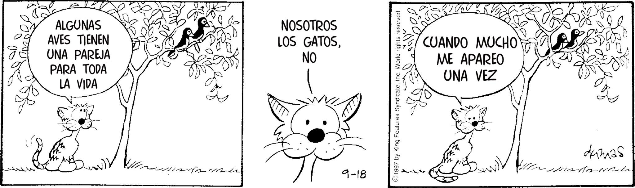 Felinae OCR: ALGUNAS AVES TIENEN UNA PAREJA PARA TODA LA VIDA NOSOTROS LOS GATOSNO 9-18 (?1997 by King Features SyndicateInc. World rights reserved. CUANDO MUCHO ME APAREO UNA VEZ 44325 ALGUNAS AVES TIENEN UNA PAREJA PARA TODA LA VIDA NOSOTROS LOS GATOSNO 9-18 ( ?1997 by King Features SyndicateInc. World rights reserved . CUANDO MUCHO ME APAREO UNA VEZ 44325