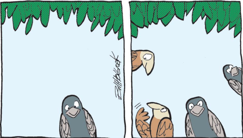 Safe Havens - Part 1 - 2025-10-15