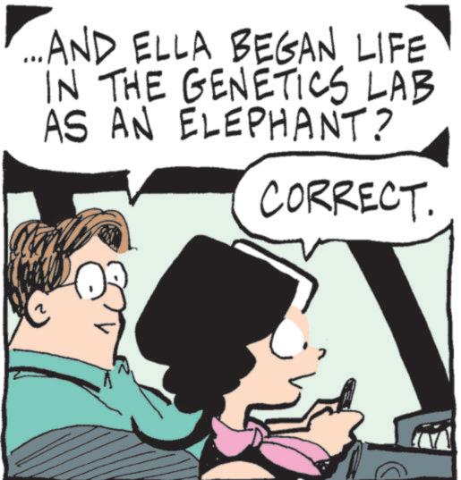 Animated cartoon OCR: ...AND ELLA BEGAN LIFE IN THE GENETICS LAB AS AN ELEPHANT? CORRECT. ... AND ELLA BEGAN LIFE IN THE GENETICS LAB AS AN ELEPHANT ? CORRECT .