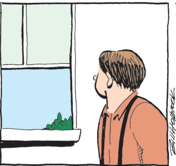 Safe Havens - Part 2 - 2025-10-30