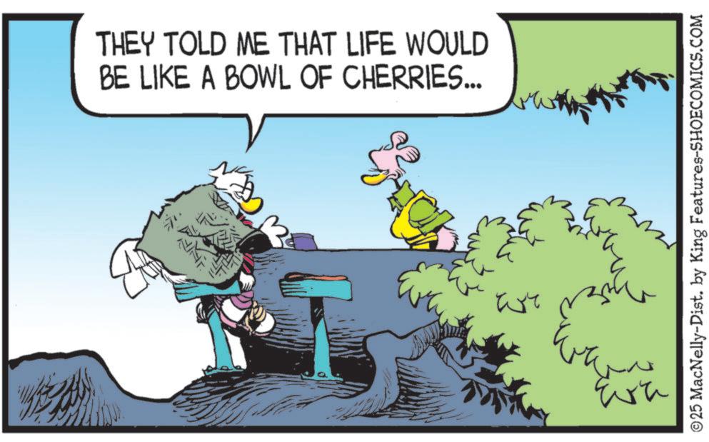 Bird OCR: THEY TOLD ME THAT LIFE WOULD BE LIKE A BOWL OF CHERRIES... ©25 MacNelly-Dist. by King Features-SHOECOMICS.COM Wr Ew M Eva THEY TOLD ME THAT LIFE WOULD BE LIKE A BOWL OF CHERRIES ... © 25 MacNelly - Dist . by King Features-SHOECOMICS.COM Wr Ew M Eva