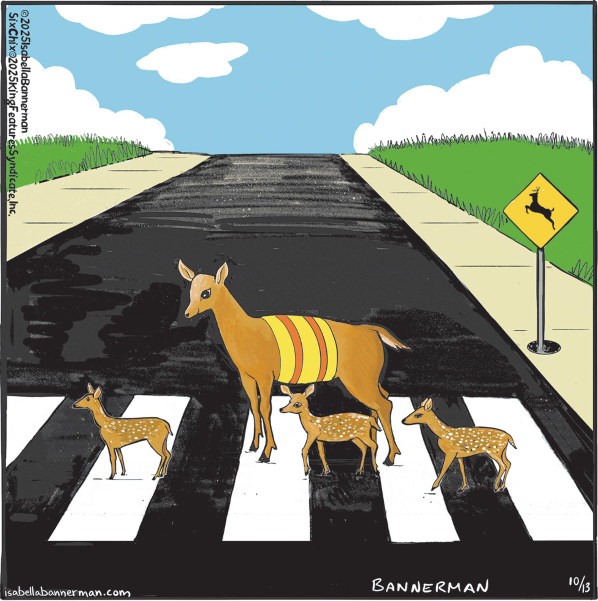 Animal Figure OCR: SixChix 2025kingFeaturesSyndicateInc. ©2025lsabellaBannerman www.w M BANNERMAN 1013 isabellabannerman.com SixChix 2025kingFeaturesSyndicateInc . © 2025lsabellaBannerman www.w M BANNERMAN 1013 isabellabannerman.com