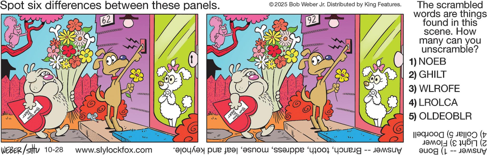 Comics OCR: WIZ Spot six differences between these panels. MEAT NO NO 62 I aw NO NO ©2025 Bob Weber Jr. Distributed by King Features. 92 WEBER/Set 10-28 www.slylockfox.com *?yl?y pur ?r snow see if yo The scrambled words are things found in this scene. How many can you unscramble? 1) NOEB 2) GHILT 3) WLROFE 4) LROLCA 5) OLDEOBLR ?????? (8 1467 (? WIZ Spot six differences between these panels . MEAT NO NO 62 I aw NO NO © 2025 Bob Weber Jr. Distributed by King Features . 92 WEBER / Set 10-28 www.slylockfox.com * ?yl?y pur ?r snow see if yo The scrambled words are things found in this scene . How many can you unscramble ? 1 ) NOEB 2 ) GHILT 3 ) WLROFE 4 ) LROLCA 5 ) OLDEOBLR ?????? ( 8 1467 ( ?