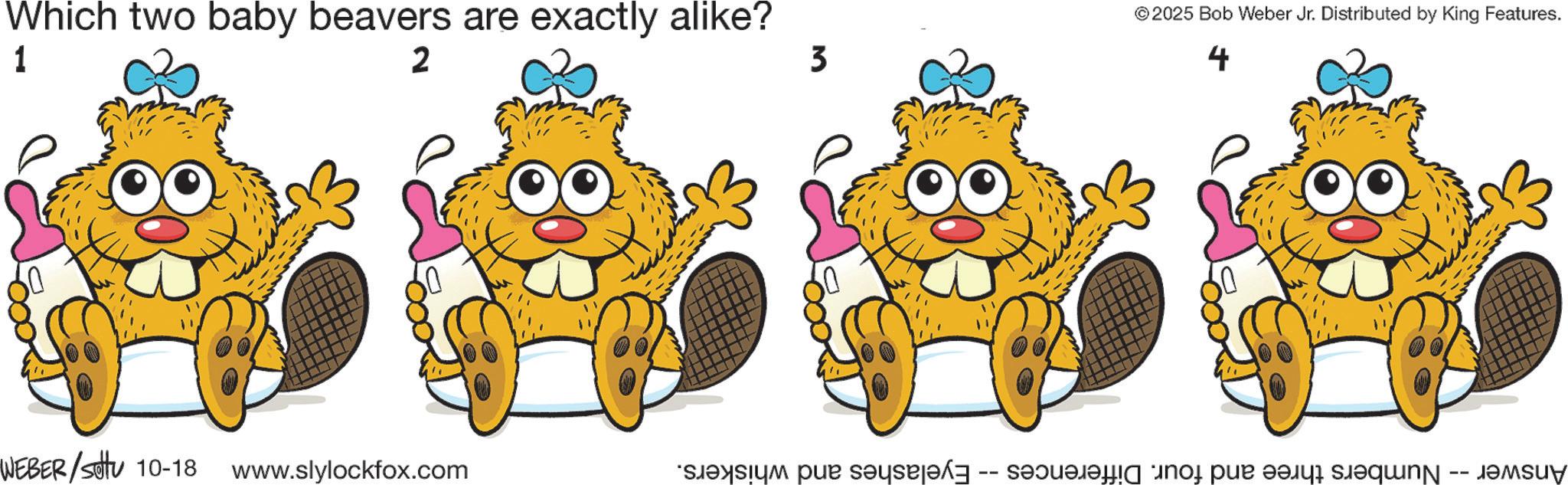 Whiskers OCR: Which two baby beavers are exactly alike? 1 2 WEBER/Sotu 10-18 www.slylockfox.com 3 © 2025 Bob Weber Jr. Distributed by King Features. 4 Answer · Numbers three and four. Differences -- Eyelashes and whiskers. Which two baby beavers are exactly alike ? 1 2 WEBER / Sotu 10-18 www.slylockfox.com 3 © 2025 Bob Weber Jr. Distributed by King Features . 4 Answer · Numbers three and four . Differences -- Eyelashes and whiskers .