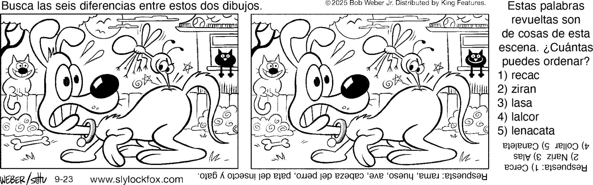 Graphics OCR: Busca las seis diferencias entre estos dos dibujos. M 00 - © 2025 Bob Weber Jr. Distributed by King Features. ?????? Estas palabras revueltas son de cosas de esta escena. ¿Cuántas puedes ordenar? 1) recac 2) ziran 3) lasa 4) lalcor 5) lenacata zen (z ndsay WEBER/S 9-23 www.slylockfox.com med pop pages are on Busca las seis diferencias entre estos dos dibujos . M 00 - © 2025 Bob Weber Jr. Distributed by King Features . ?????? Estas palabras revueltas son de cosas de esta escena . ¿ Cuántas puedes ordenar ? 1 ) recac 2 ) ziran 3 ) lasa 4 ) lalcor 5 ) lenacata zen ( z ndsay WEBER / S 9-23 www.slylockfox.com med pop pages are on
