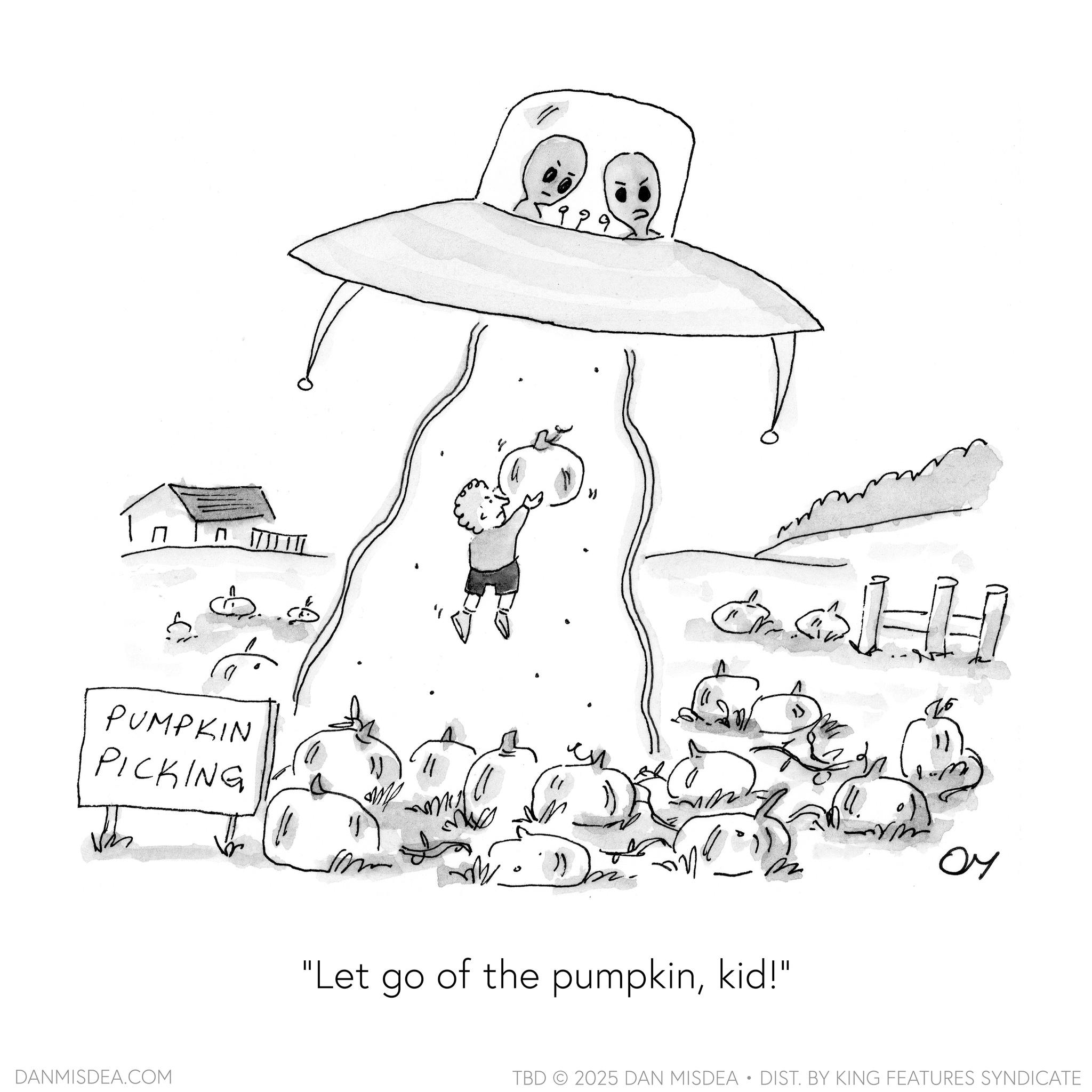 Child art OCR: ? PUMPKIN PICKING DANMISDEA.COM ?? y 999 E • • HH C me "Let go of the pumpkinkid!" OY TBD 2025 DAN MISDEA • DIST. BY KING FEATURES SYNDICATE ? PUMPKIN PICKING DANMISDEA.COM ?? y 999 E • • HH C me " Let go of the pumpkinkid ! " OY TBD 2025 DAN MISDEA • DIST . BY KING FEATURES SYNDICATE