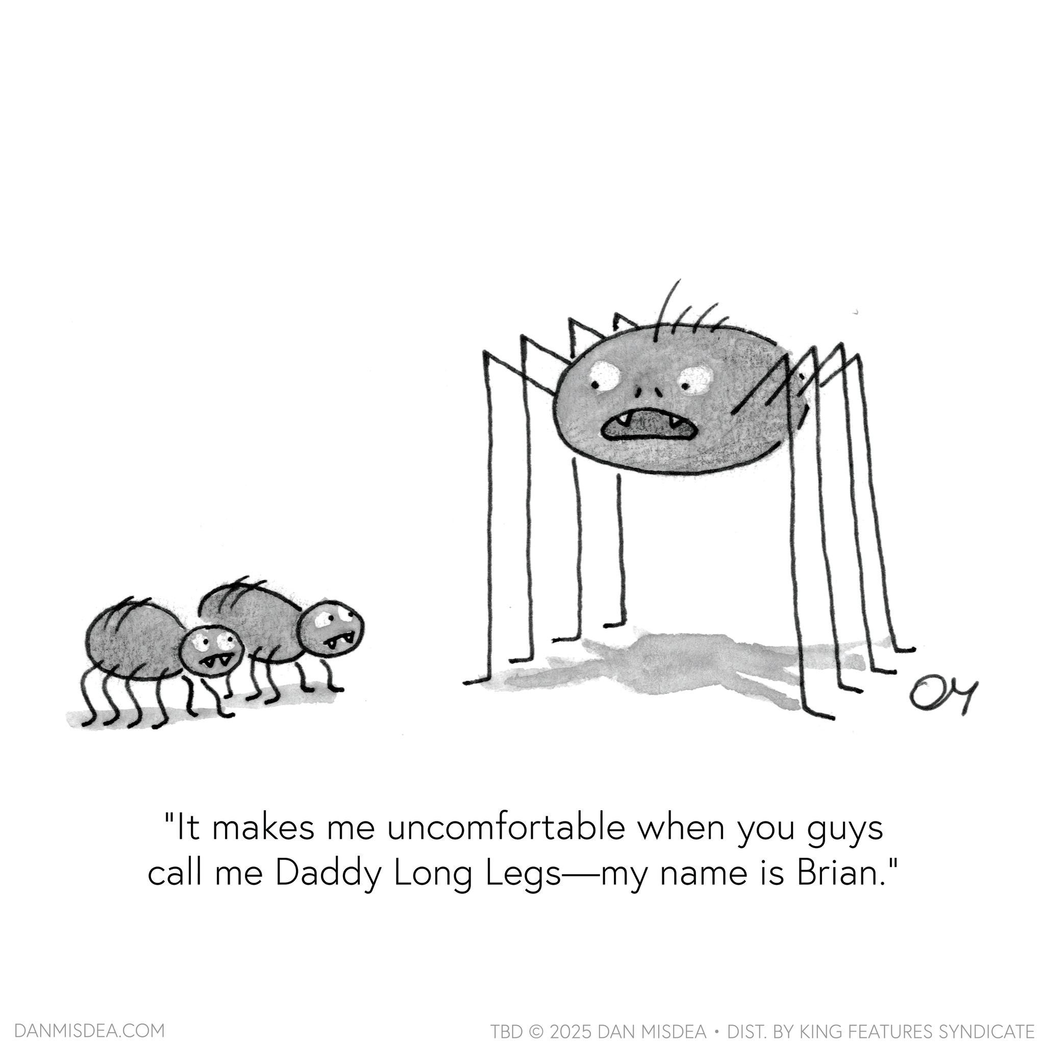 Photo caption OCR: "It makes me uncomfortable when you guys call me Daddy Long Legs-my name is Brian." DANMISDEA.COM ?? TBD 2025 DAN MISDEA • DIST. BY KING FEATURES SYNDICATE " It makes me uncomfortable when you guys call me Daddy Long Legs - my name is Brian . " DANMISDEA.COM ?? TBD 2025 DAN MISDEA • DIST . BY KING FEATURES SYNDICATE