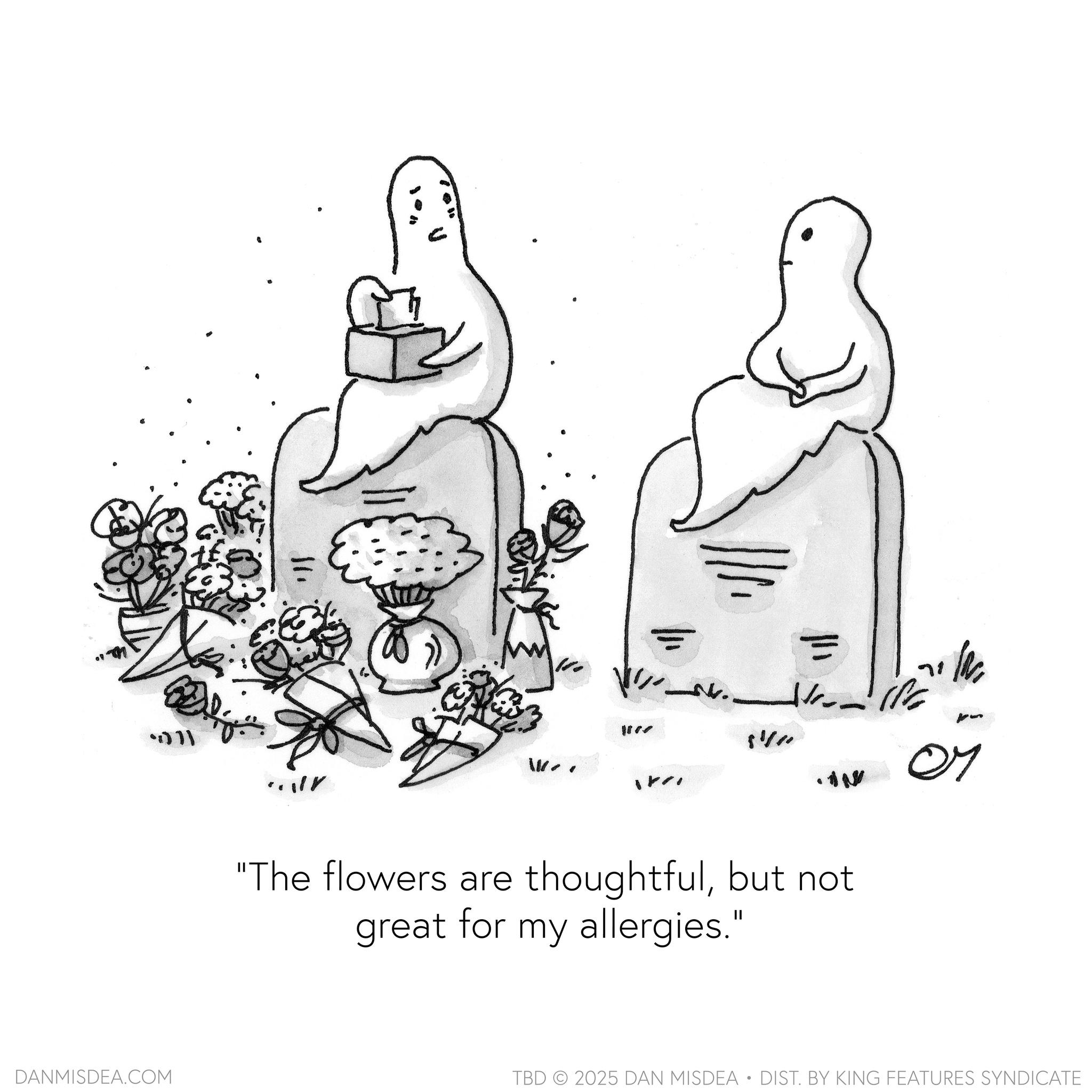 Coloring book OCR: +011 DANMISDEA.COM .. .AN "The flowers are thoughtfulbut not great for my allergies." 71 07 TBD 2025 DAN MISDEA • DIST. BY KING FEATURES SYNDICATE +011 DANMISDEA.COM .. .AN " The flowers are thoughtfulbut not great for my allergies . " 71 07 TBD 2025 DAN MISDEA • DIST . BY KING FEATURES SYNDICATE