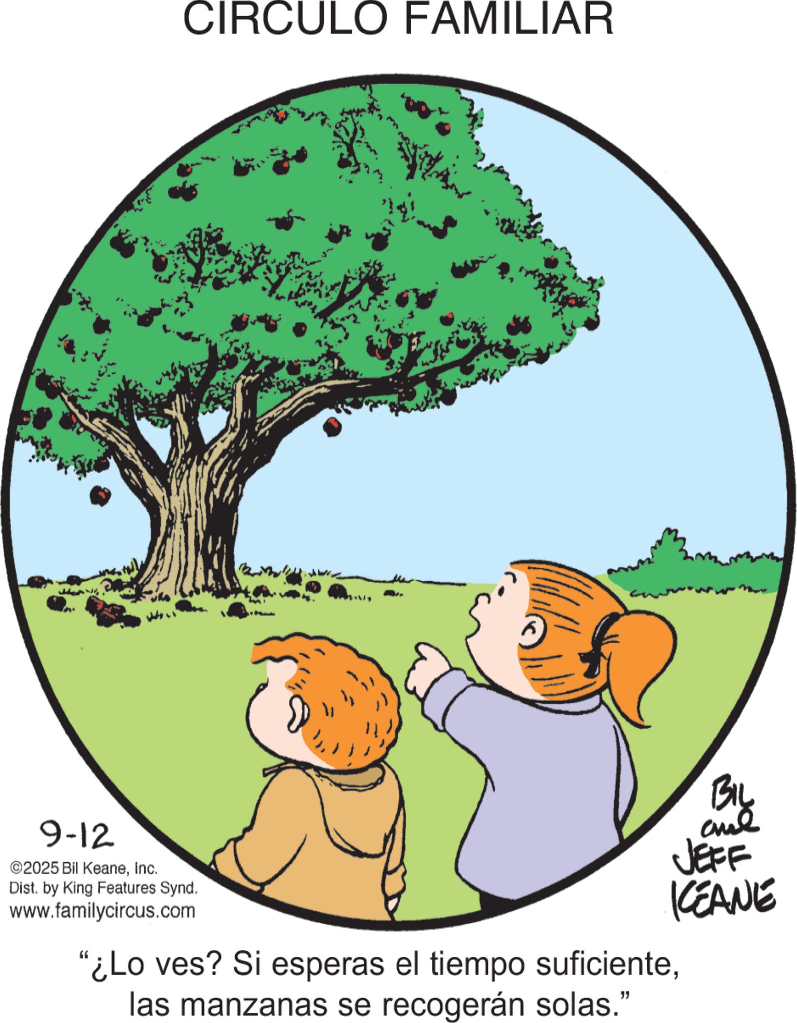 Photo caption OCR: CIRCULO FAMILIAR 9-12 ©2025 Bil KeaneInc. Dist. by King Features Synd. www.familycircus.com "¿Lo ves? Si esperas el tiempo suficientelas manzanas se recogerán solas." BIL JEFF KEANE CIRCULO FAMILIAR 9-12 © 2025 Bil KeaneInc. Dist . by King Features Synd . www.familycircus.com " ¿ Lo ves ? Si esperas el tiempo suficientelas manzanas se recogerán solas . " BIL JEFF KEANE