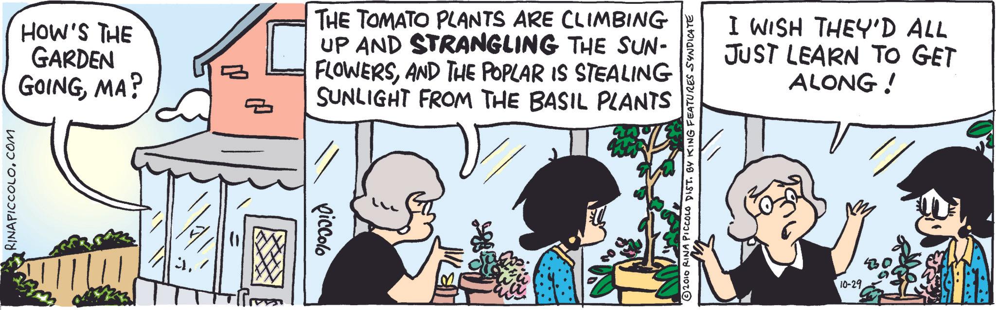 Comics OCR: RINAPICCOLO.COM HOW'S THE GARDEN GOINGMA? THE TOMATO PLANTS ARE CLIMBING UP AND STRANGLING THE SUN- FLOWERSAND THE POPLAR IS STEALING SUNLIGHT FROM THE BASIL PLANTS piccolo 2010 RINA PICCOLO DIST. BY KING FEATURES SYNDICATE I WISH THEY'D ALL JUST LEARN TO GET ALONG! 10-29 RINAPICCOLO.COM HOW'S THE GARDEN GOINGMA ? THE TOMATO PLANTS ARE CLIMBING UP AND STRANGLING THE SUN- FLOWERSAND THE POPLAR IS STEALING SUNLIGHT FROM THE BASIL PLANTS piccolo 2010 RINA PICCOLO DIST . BY KING FEATURES SYNDICATE I WISH THEY'D ALL JUST LEARN TO GET ALONG ! 10-29