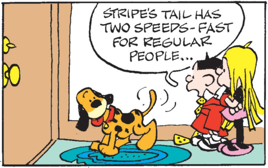 Pleased OCR: STRIPE'S TAIL HAS TWO SPEEDS- FAST FOR REGULAR PEOPLE... STRIPE'S TAIL HAS TWO SPEEDS- FAST FOR REGULAR PEOPLE ...