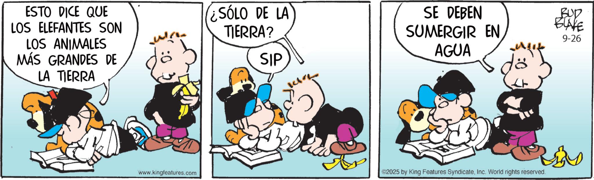 Conversation OCR: ESTO DICE QUE LOS ELEFANTES SON LOS ANIMALES MÁS GRANDES DE LA TIERRA ¿SÓLO DE LA TIERRA? SE DEBEN SUMERGIR EN AGUA SIP www.kingfeatures.com ©2025 by King Features SyndicateInc. World rights reserved. BUD BLAKE 9-26 ESTO DICE QUE LOS ELEFANTES SON LOS ANIMALES MÁS GRANDES DE LA TIERRA ¿ SÓLO DE LA TIERRA ? SE DEBEN SUMERGIR EN AGUA SIP www.kingfeatures.com © 2025 by King Features SyndicateInc. World rights reserved . BUD BLAKE 9-26