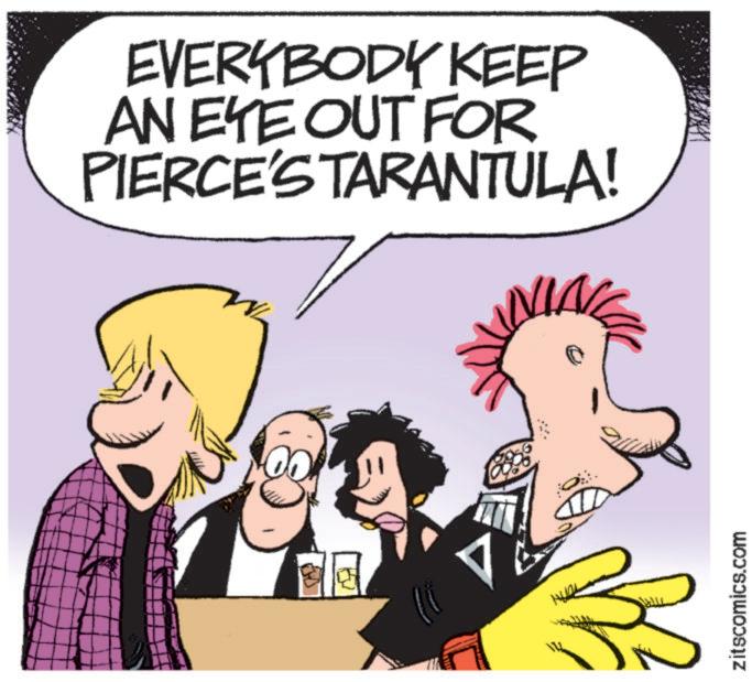 Animated cartoon OCR: EVERYBODY KEEP AN EYE OUT FOR PIERCE'S TARANTULA! zitscomics.com EVERYBODY KEEP AN EYE OUT FOR PIERCE'S TARANTULA ! zitscomics.com