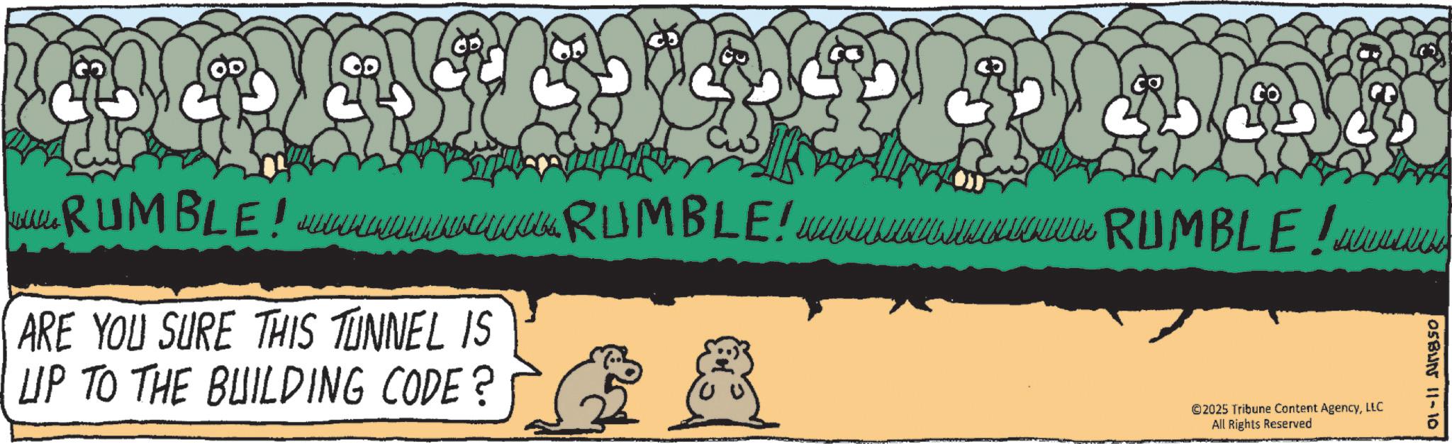 Animation OCR: OSBUN 11-10 RUMBLE! www.RUMBLE!RUMBLE! www ARE YOU SURE THIS TUNNEL IS UP TO THE BUILDING CODE? ©2025 Tribune Content AgencyLLC All Rights Reserved OSBUN 11-10 RUMBLE ! www.RUMBLE ! RUMBLE ! www ARE YOU SURE THIS TUNNEL IS UP TO THE BUILDING CODE ? © 2025 Tribune Content AgencyLLC All Rights Reserved