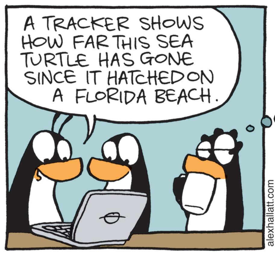 Clip art OCR: A TRACKER SHOWS HOW FAR THIS SEA TURTLE HAS GONE SINCE IT HATCHED ON A FLORIDA BEACH. alexhallatt.com A TRACKER SHOWS HOW FAR THIS SEA TURTLE HAS GONE SINCE IT HATCHED ON A FLORIDA BEACH . alexhallatt.com