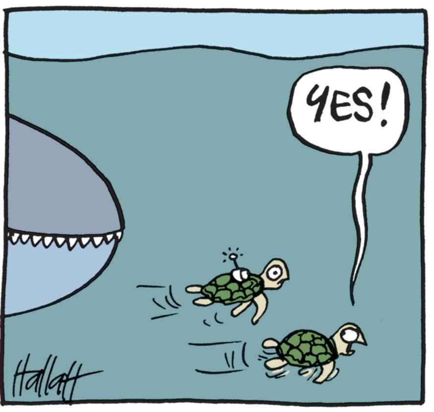 Turtle OCR: Hallatt YES! Hallatt YES !