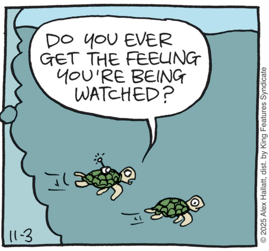 Photo caption OCR: 11-3 I DO YOU EVER GET THE FEELING YOU'RE BEING WATCHED? O2025 Alex Hallattdist. by King Features Syndicate 11-3 I DO YOU EVER GET THE FEELING YOU'RE BEING WATCHED ? O2025 Alex Hallattdist . by King Features Syndicate