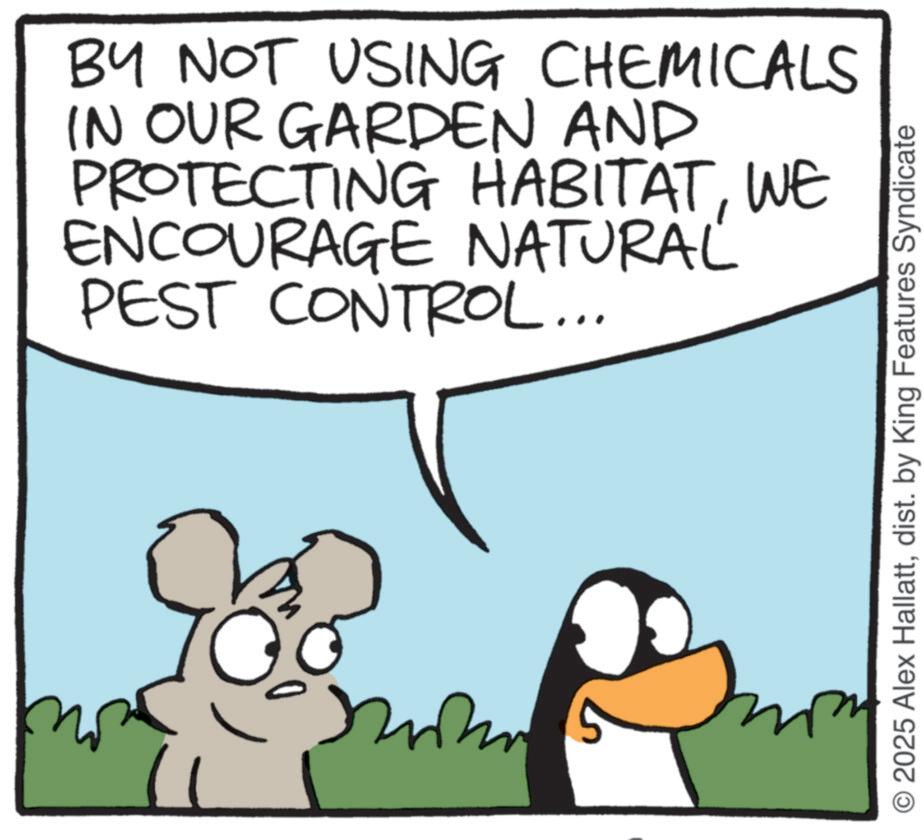 Animated cartoon OCR: BY NOT USING CHEMICALS IN OUR GARDEN AND PROTECTING HABITATWE ENCOURAGE NATURAL PEST CONTROL... © 2025 Alex Hallattdist. by King Features Syndicate BY NOT USING CHEMICALS IN OUR GARDEN AND PROTECTING HABITATWE ENCOURAGE NATURAL PEST CONTROL ... © 2025 Alex Hallattdist . by King Features Syndicate