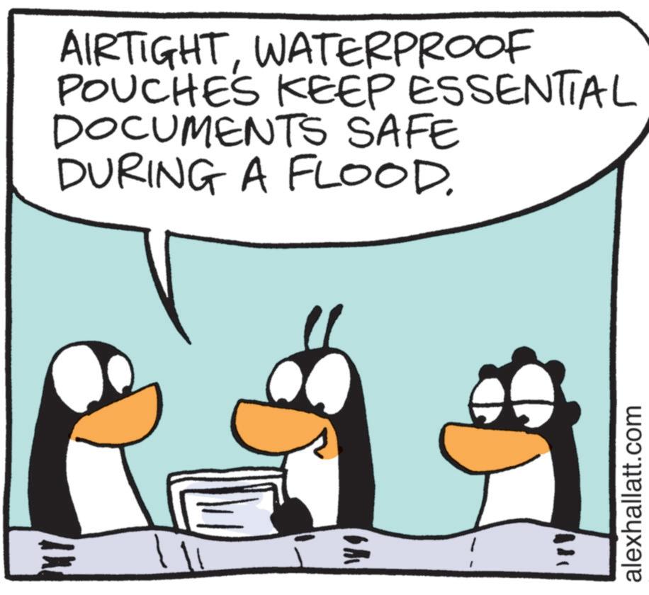 Fiction OCR: WI AIRTIGHTWATERPROOF POUCHES KEEP ESSENTIAL DOCUMENTS SAFE DURING A FLOOD. alexhallatt.com WI AIRTIGHTWATERPROOF POUCHES KEEP ESSENTIAL DOCUMENTS SAFE DURING A FLOOD . alexhallatt.com