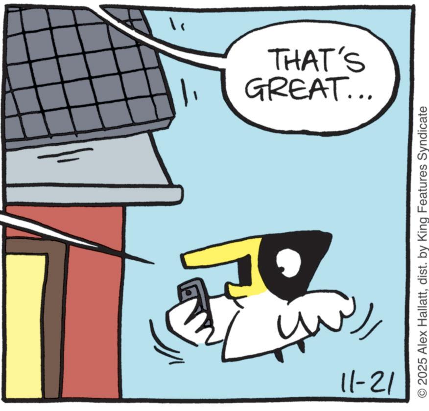 Graphic design OCR: GREAT... THAT'S 11-21 2025 Alex Hallattdist. by King Features Syndicate GREAT ... THAT'S 11-21 2025 Alex Hallattdist . by King Features Syndicate