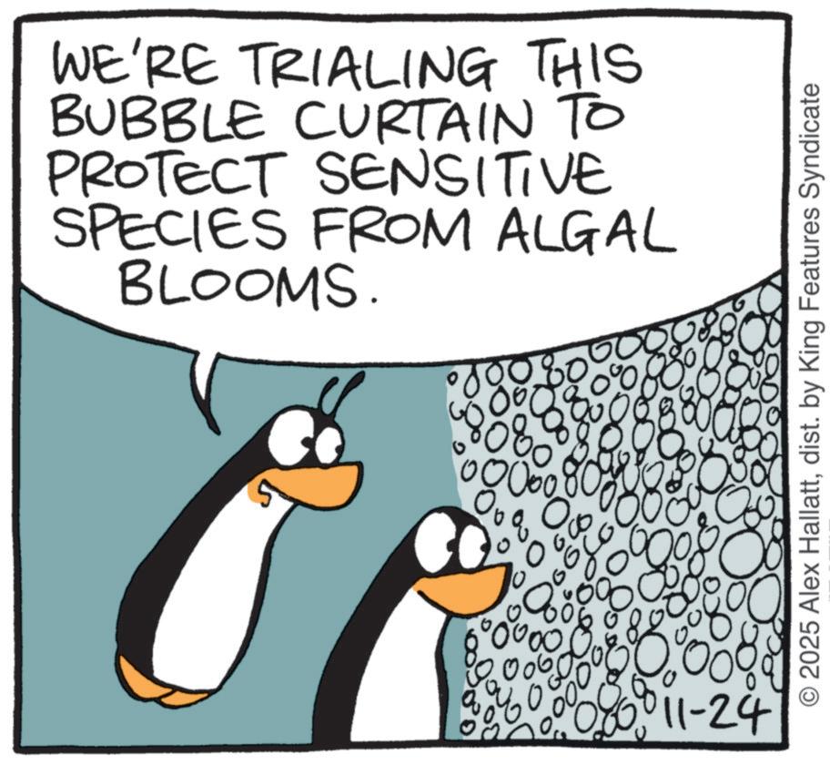 Animation OCR: WE'RE TRIALING THIS BUBBLE CURTAIN TO PROTECT SENSITIVE SPECIES FROM ALGAL BLOOMS. 8. ? 00000 q So 100 006 20000 8 00 11-24 © 2025 Alex Hallattdist. by King Features Syndicate WE'RE TRIALING THIS BUBBLE CURTAIN TO PROTECT SENSITIVE SPECIES FROM ALGAL BLOOMS . 8 . ? 00000 q So 100 006 20000 8 00 11-24 © 2025 Alex Hallattdist . by King Features Syndicate