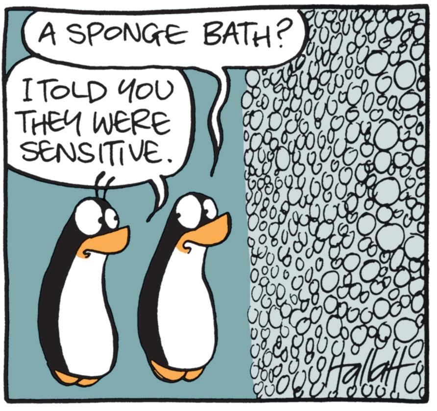 Animated cartoon OCR: 100 0000 A SPONGE BATH? I TOLD YOU THEY WERE SENSITIVE. 00 0 080 8 000 000 880 C 260 0000 100 0000 A SPONGE BATH ? I TOLD YOU THEY WERE SENSITIVE . 00 0 080 8 000 000 880 C 260 0000
