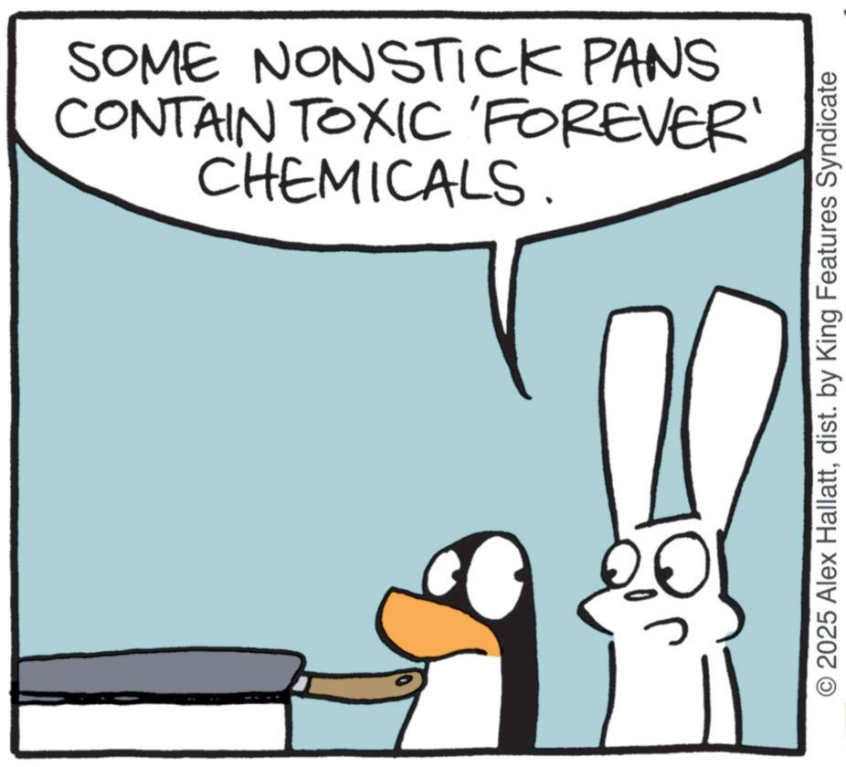 Fictional character OCR: CHEMICALS. CONTAIN TOXIC 'FOREVER' SOME NONSTICK PANS © 2025 Alex Hallattdist. by King Features Syndicate CHEMICALS . CONTAIN TOXIC ' FOREVER ' SOME NONSTICK PANS © 2025 Alex Hallattdist . by King Features Syndicate