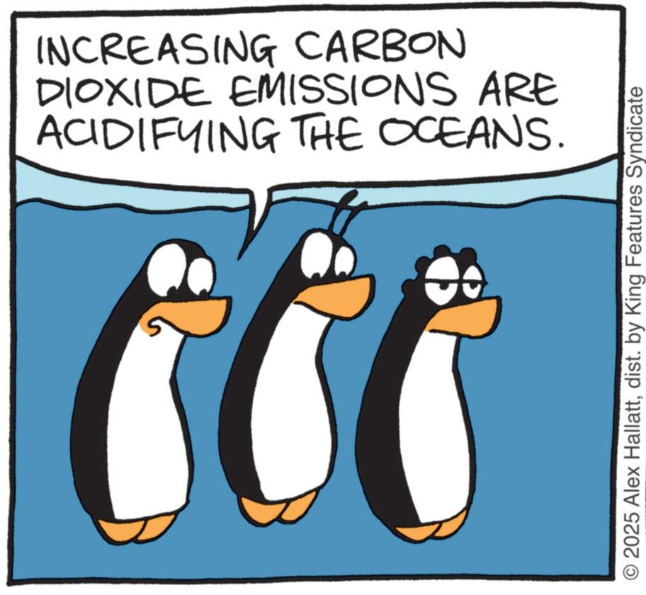 Animated cartoon OCR: INCREASING CARBON DIOXIDE EMISSIONS ARE ACIDIFYING THE OCEANS. 2025 Alex Hallattdist. by King Features Syndicate INCREASING CARBON DIOXIDE EMISSIONS ARE ACIDIFYING THE OCEANS . 2025 Alex Hallattdist . by King Features Syndicate