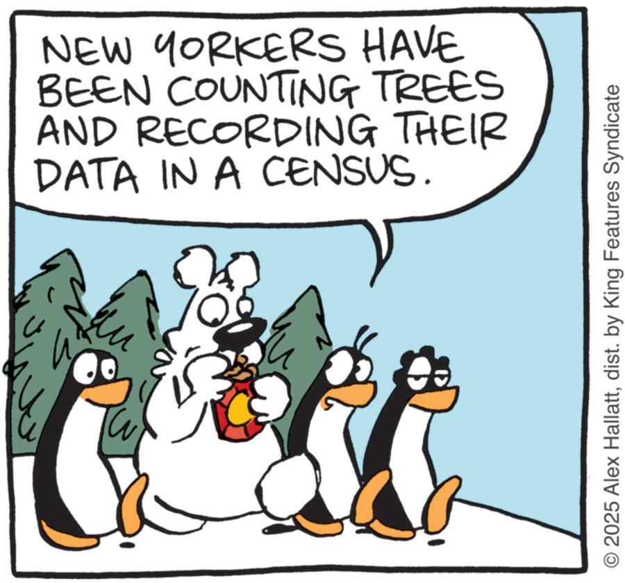 Fiction OCR: NEW YORKERS HAVE BEEN COUNTING TREES AND RECORDING THEIR DATA IN A CENSUS. W ? © 2025 Alex Hallattdist. by King Features Syndicate NEW YORKERS HAVE BEEN COUNTING TREES AND RECORDING THEIR DATA IN A CENSUS . W ? © 2025 Alex Hallattdist . by King Features Syndicate