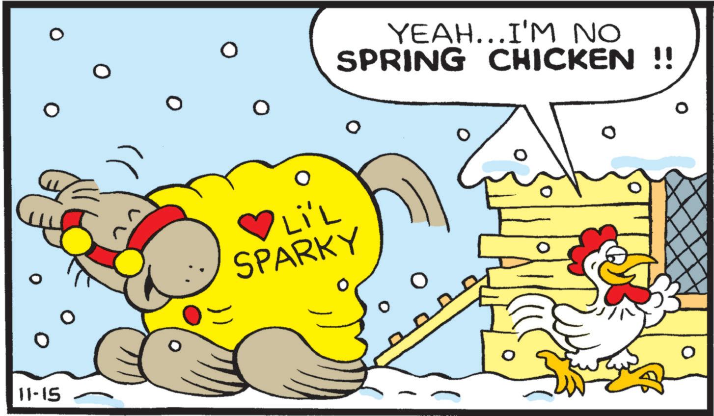 Landfowl OCR: 0 11-15 YEAH...I'M NO SPRING CHICKEN !! O Li'L SPARKY 0 0 11-15 YEAH ... I'M NO SPRING CHICKEN !! O Li'L SPARKY 0