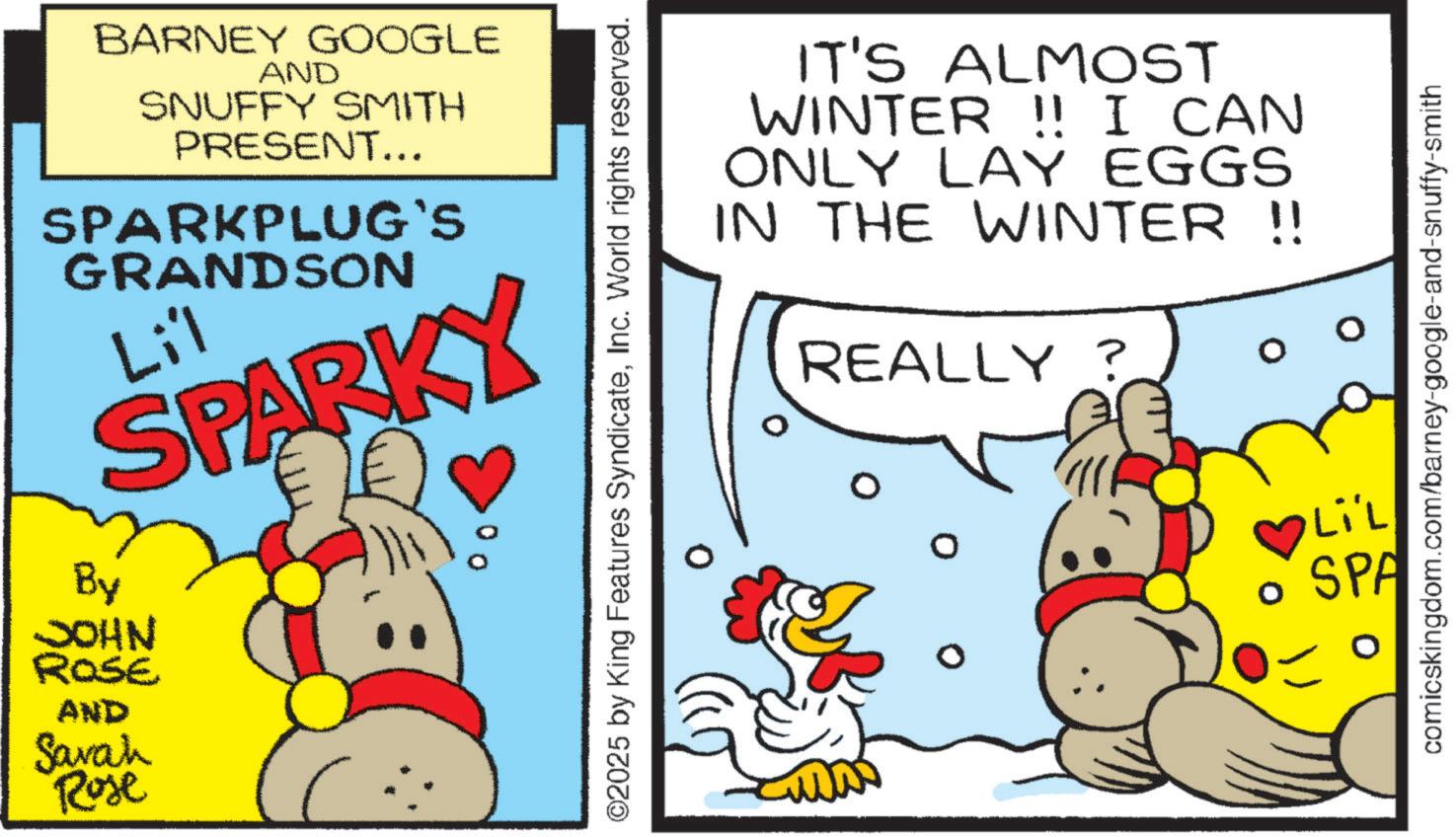 Animation OCR: IT'S ALMOST WINTER !! I CAN ONLY LAY EGGS IN THE WINTER !! REALLY ? O BARNEY GOOGLE AND SNUFFY SMITH PRESENT... SPARKPLUG'S GRANDSON Lil SPARKY By JOHN ROSE AND Sarah Rose 00 ©2025 by King Features SyndicateInc. World rights reserved. 0 comicskingdom.com/barney-google-and-snuffy-smith Li'L SPA IT'S ALMOST WINTER !! I CAN ONLY LAY EGGS IN THE WINTER !! REALLY ? O BARNEY GOOGLE AND SNUFFY SMITH PRESENT ... SPARKPLUG'S GRANDSON Lil SPARKY By JOHN ROSE AND Sarah Rose 00 © 2025 by King Features SyndicateInc. World rights reserved . 0 comicskingdom.com/barney-google-and-snuffy-smith Li'L SPA
