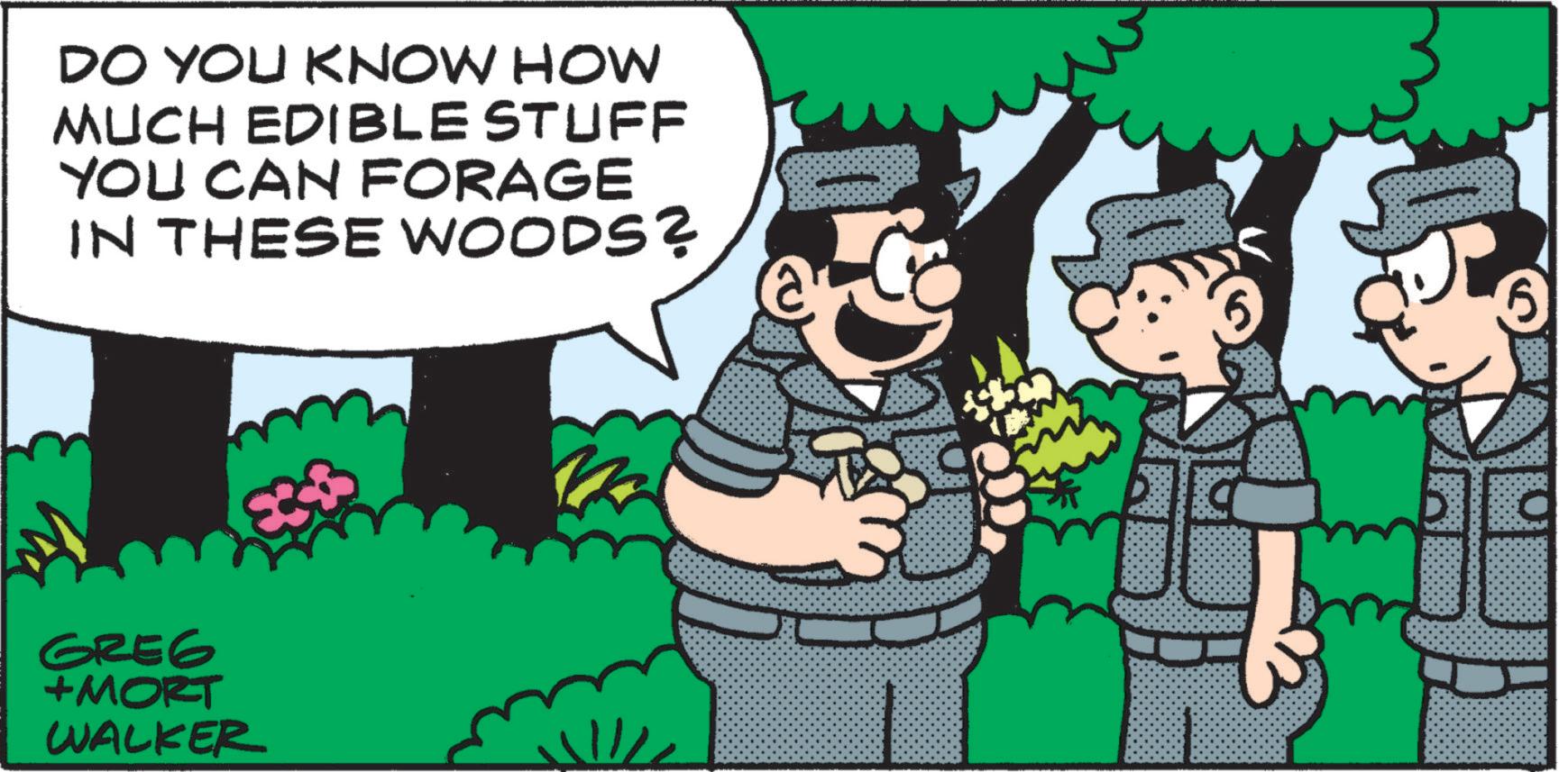 Comics OCR: DO YOU KNOW HOW MUCH EDIBLE STUFF YOU CAN FORAGE IN THESE WOODS? GREG +MORT WALKER GE DO YOU KNOW HOW MUCH EDIBLE STUFF YOU CAN FORAGE IN THESE WOODS ? GREG + MORT WALKER GE