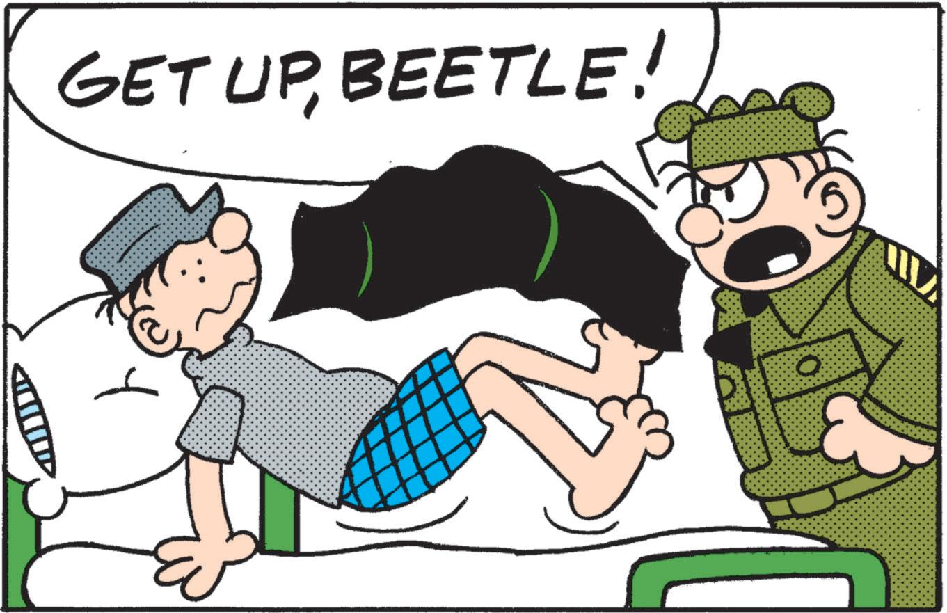 Photo caption OCR: GET UPBEETLE! O GET UPBEETLE ! O