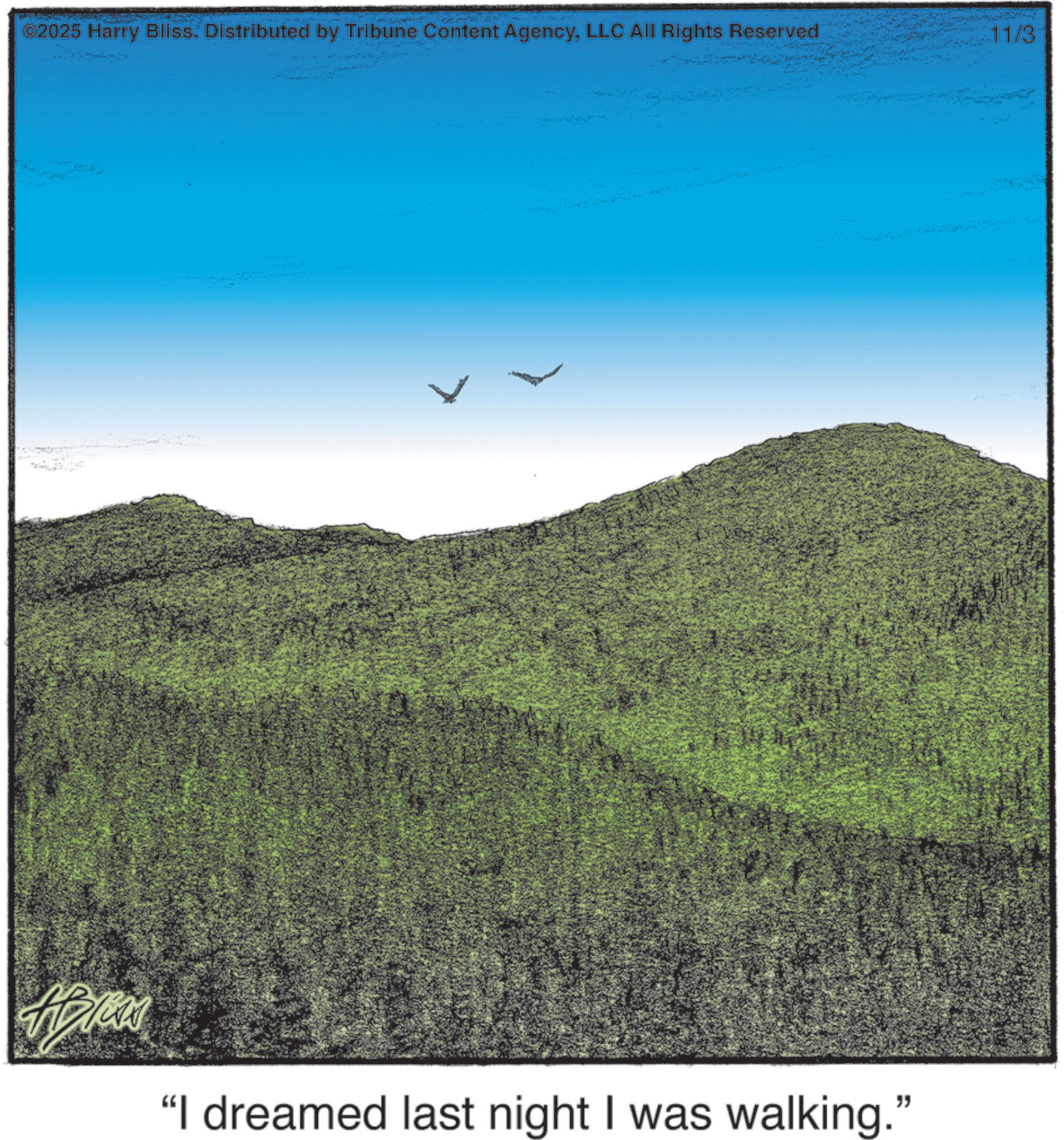 Mound OCR: ©2025 Harry Bliss. Distributed by Tribune Content AgencyLLC All Rights Reserved ADICK "I dreamed last night I was walking." 11/3 © 2025 Harry Bliss . Distributed by Tribune Content AgencyLLC All Rights Reserved ADICK " I dreamed last night I was walking . " 11/3