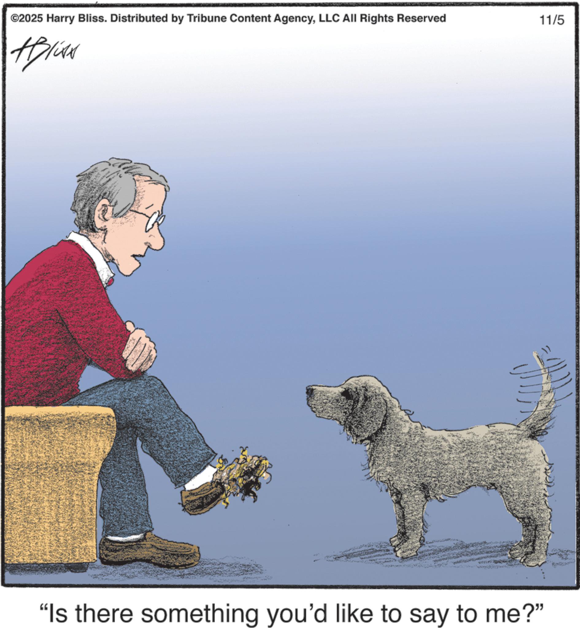 Photo caption OCR: ©2025 Harry Bliss. Distributed by Tribune Content AgencyLLC All Rights Reserved #Bliss 11/5 "Is there something you'd like to say to me?" © 2025 Harry Bliss . Distributed by Tribune Content AgencyLLC All Rights Reserved #Bliss 11/5 " Is there something you'd like to say to me ? "