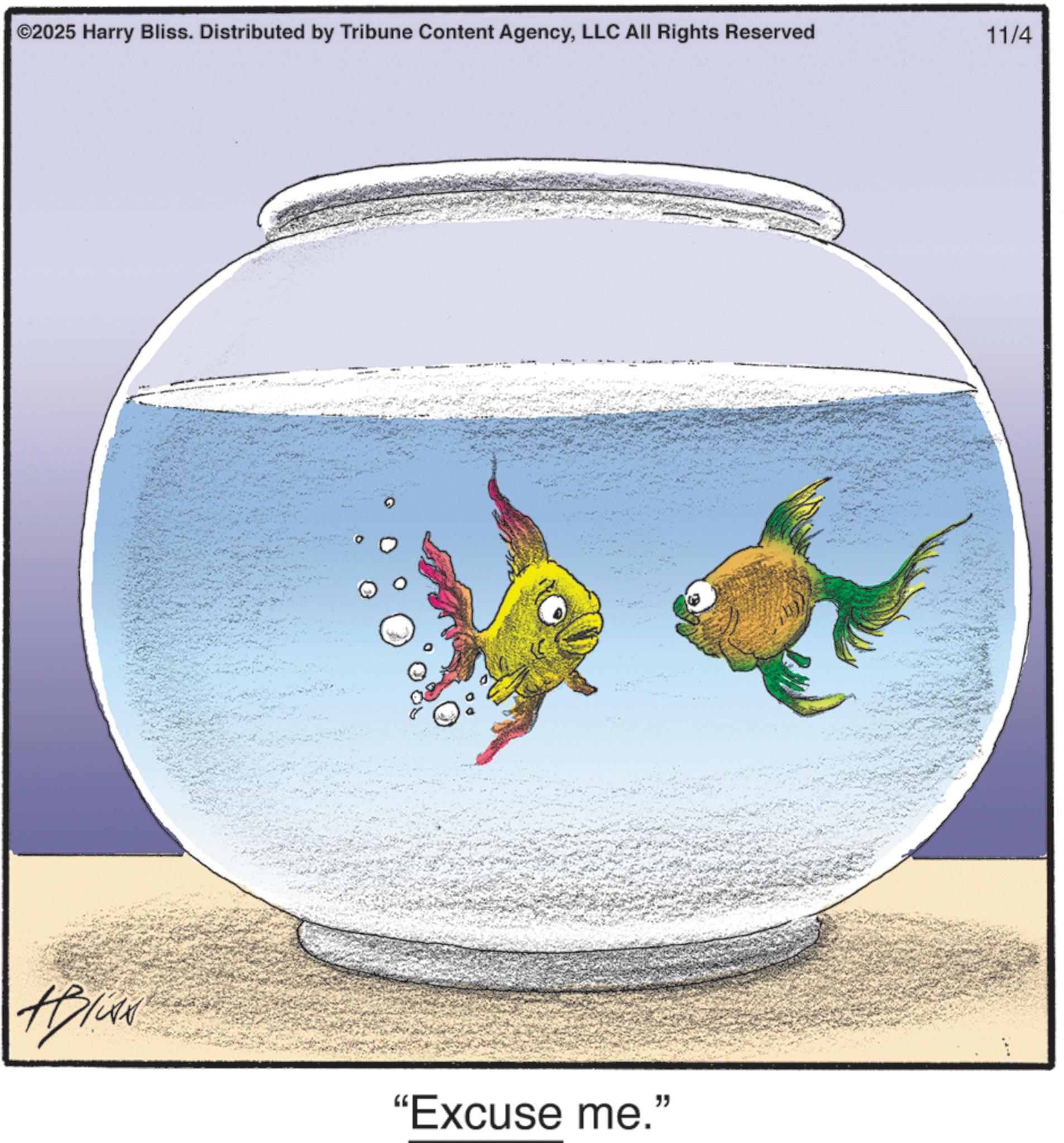 Photo caption OCR: ©2025 Harry Bliss. Distributed by Tribune Content AgencyLLC All Rights Reserved "Excuse me." 11/4 © 2025 Harry Bliss . Distributed by Tribune Content AgencyLLC All Rights Reserved " Excuse me . " 11/4