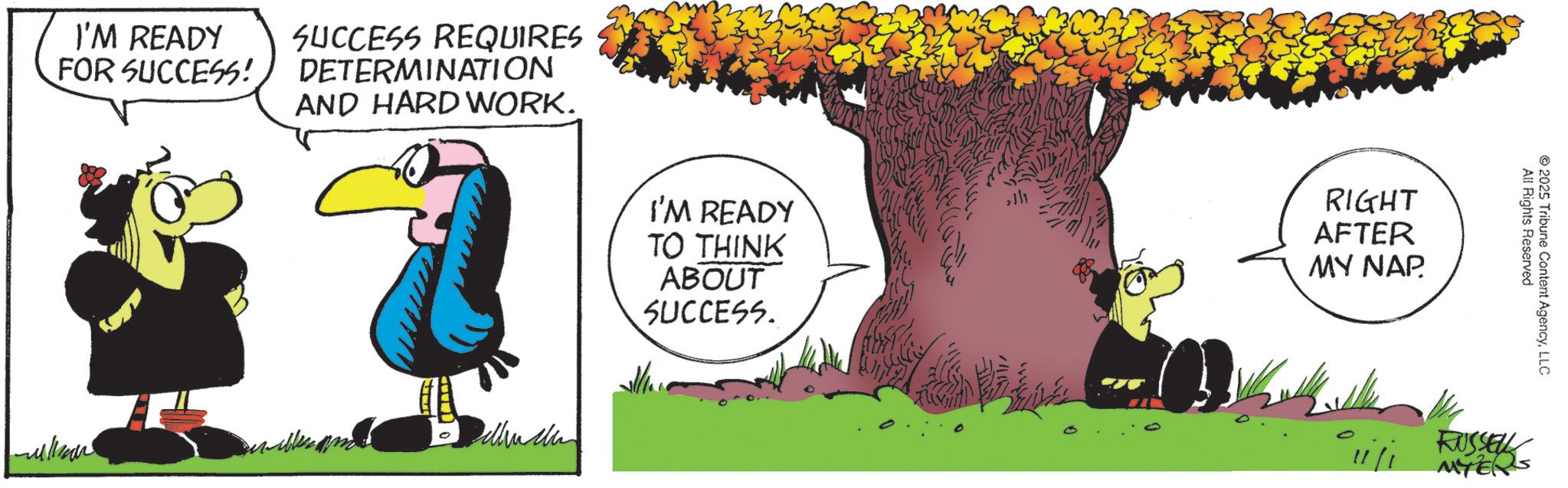 Bird OCR: I'M READY FOR SUCCESS! SUCCESS REQUIRES DETERMINATION AND HARD WORK. I'M READY TO THINK ABOUT SUCCESS. RIGHT AFTER MY NAP All Rights Reserved 2025 Tribune Content AgencyLLC RUSSELL MYERS I'M READY FOR SUCCESS ! SUCCESS REQUIRES DETERMINATION AND HARD WORK . I'M READY TO THINK ABOUT SUCCESS . RIGHT AFTER MY NAP All Rights Reserved 2025 Tribune Content AgencyLLC RUSSELL MYERS