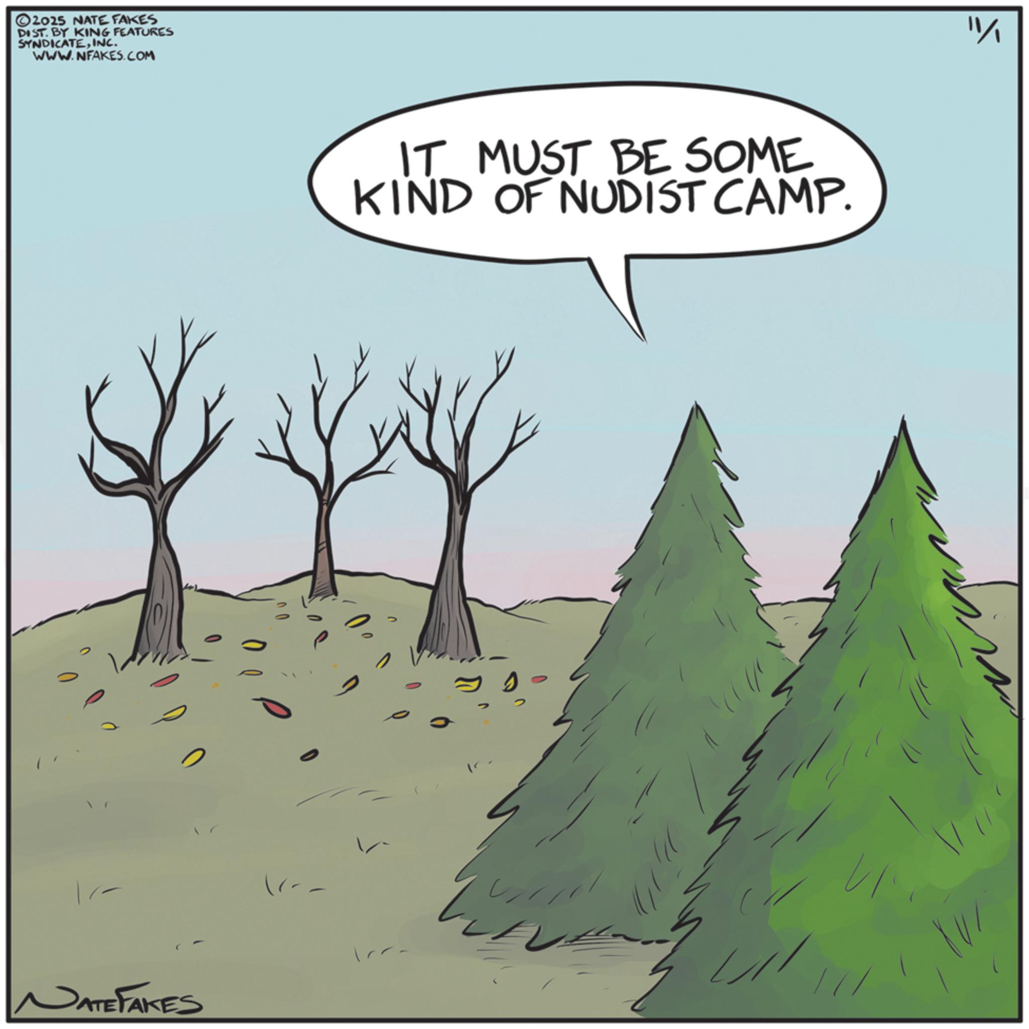 Photo caption OCR: 2025 NATE FAKES DIST. BY KING FEATURES SYNDICATEINC. WWW.NFAKES.COM IT MUST BE SOME KIND OF NUDIST CAMP. NATE FAKES " ?? ? 2025 NATE FAKES DIST . BY KING FEATURES SYNDICATEINC . WWW.NFAKES.COM IT MUST BE SOME KIND OF NUDIST CAMP . NATE FAKES " ?? ?