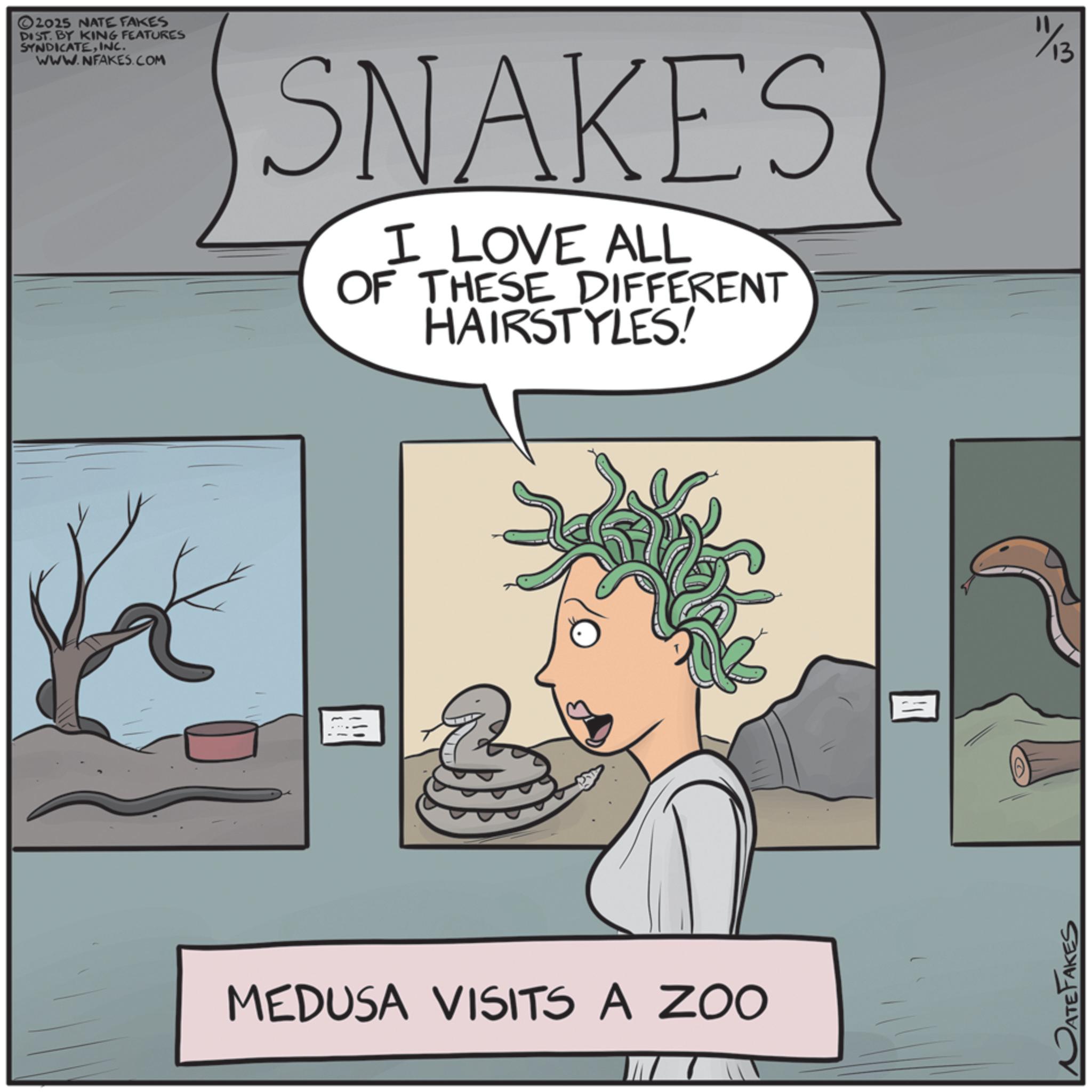 Animation OCR: ©2025 NATE FAKES DIST. BY KING FEATURES SYNDICATEINC. WWW.NFAKES.COM SNAKES I LOVE ALL OF THESE DIFFERENT HAIRSTYLES! MEDUSA VISITS A ZOO PATEFAKES 1/13 © 2025 NATE FAKES DIST . BY KING FEATURES SYNDICATEINC . WWW.NFAKES.COM SNAKES I LOVE ALL OF THESE DIFFERENT HAIRSTYLES ! MEDUSA VISITS A ZOO PATEFAKES 1/13