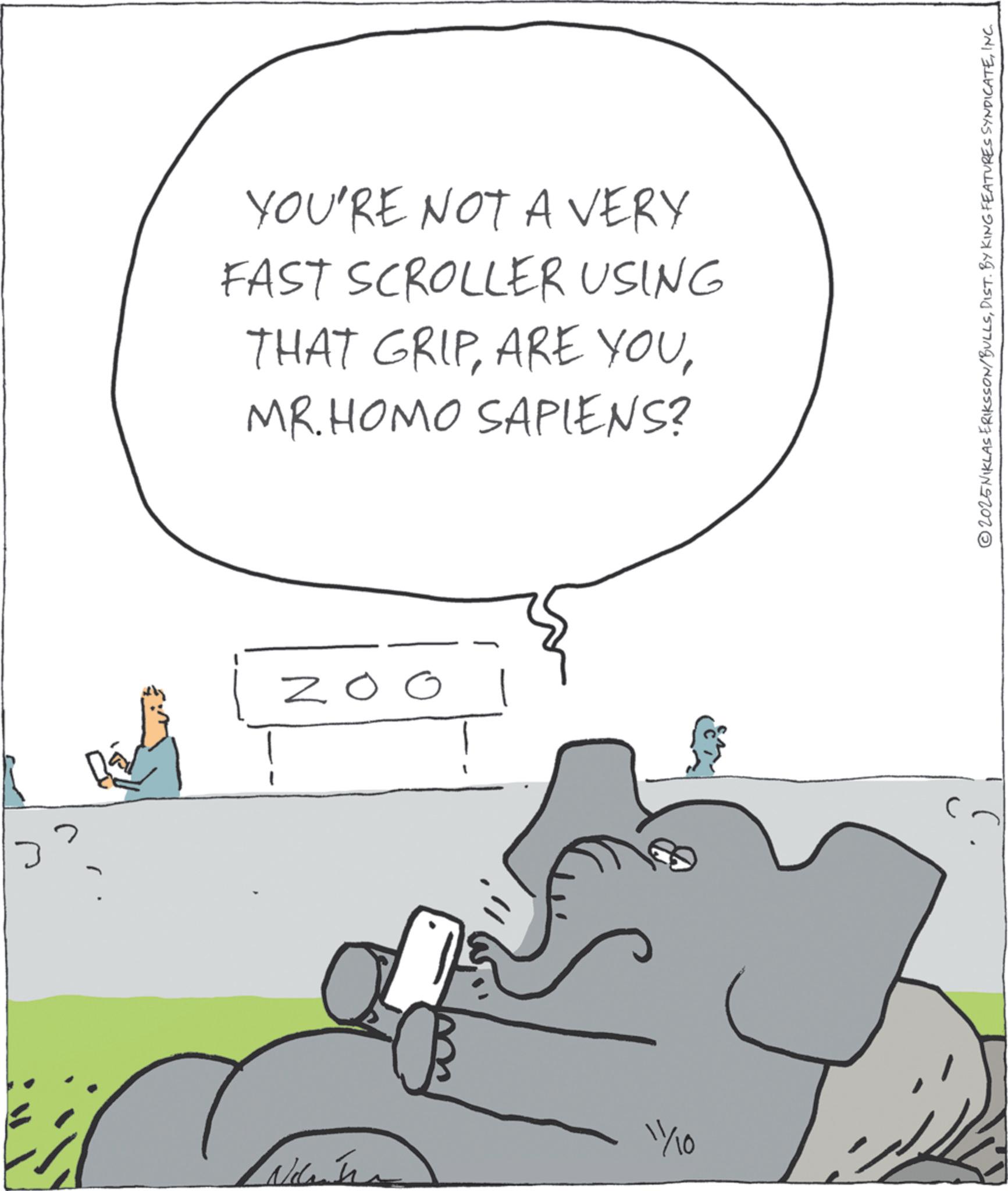Elephant OCR: YOU'RE NOT A VERY FAST SCROLLER USING THAT GRIPMR.HOMO SAPIENS? ZOO 11/10 ©2025 NIKLAS ERIKSSON/BULLSINC YOU'RE NOT A VERY FAST SCROLLER USING THAT GRIPARE YOUMR.HOMO SAPIENS ? ZOO 11/10 © 2025 NIKLAS ERIKSSON / BULLSDIST . BY KING FEATURES SYNDICATE