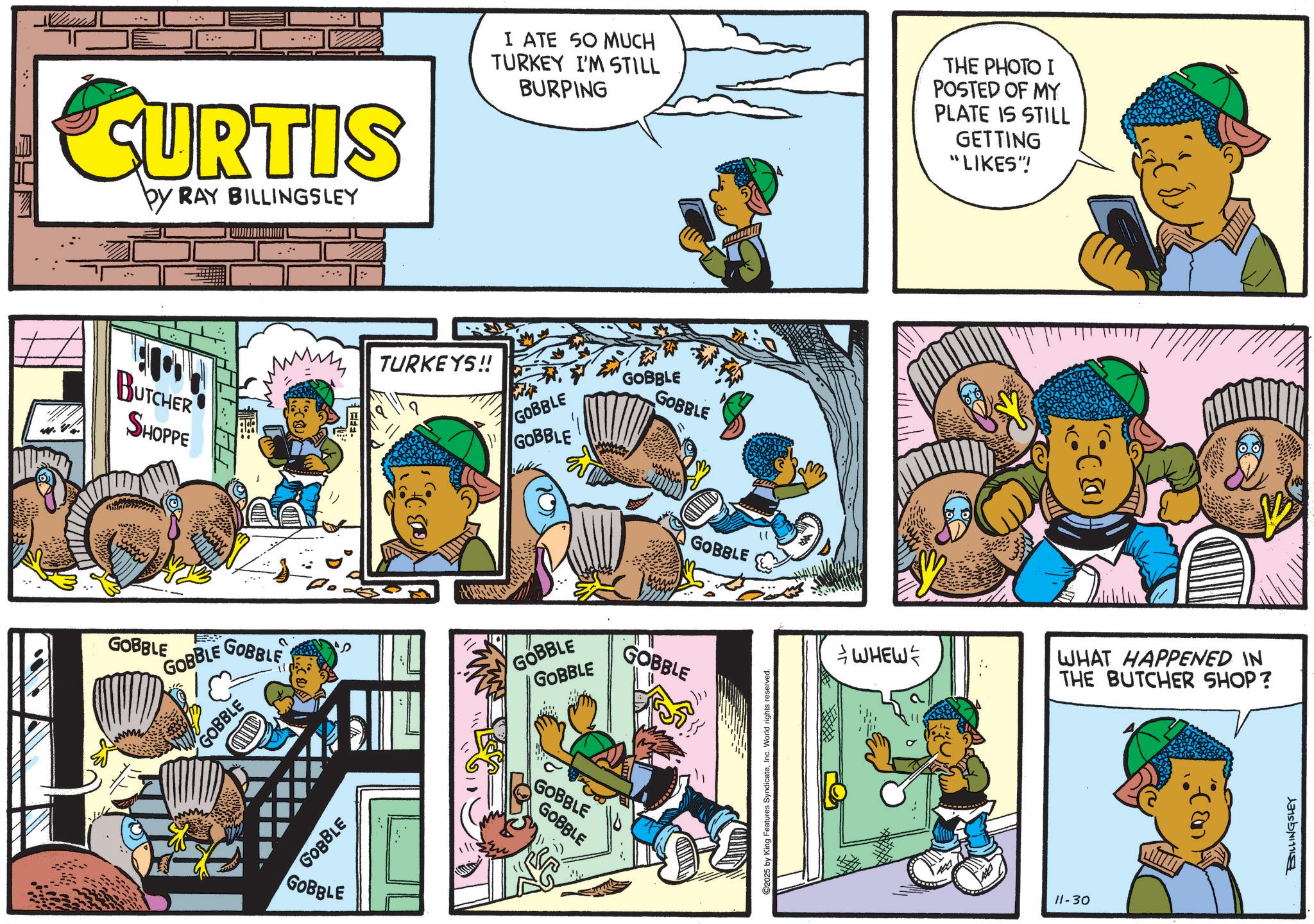 Animation OCR: CURTIS by RAY BILLINGSLEY BUTCHER SHOPPE ???? GOBBLE GOBBLE GOBBLE GOBBLE GOBBLE GOBBLE I ATE SO MUCH TURKEY I'M STILL BURPING THE PHOTO I POSTED OF MY PLATE IS STILL GETTING "LIKES"! TURKEYS!! GOBBLE GOBBLE GOBBLE GOBBLE GOBBLE GOBBLE GOBBLE GOBBLE GOBBLE GOBBLE C2025 by King Features SyndicateInc. World rights reserved. WHEW 11-30 WHAT HAPPENED IN THE BUTCHER SHOP? BILLINGSLEY CURTIS by RAY BILLINGSLEY BUTCHER SHOPPE ???? GOBBLE GOBBLE GOBBLE GOBBLE GOBBLE GOBBLE I ATE SO MUCH TURKEY I'M STILL BURPING THE PHOTO I POSTED OF MY PLATE IS STILL GETTING " LIKES " ! TURKEYS !! GOBBLE GOBBLE GOBBLE GOBBLE GOBBLE GOBBLE GOBBLE GOBBLE GOBBLE GOBBLE C2025 by King Features SyndicateInc. World rights reserved . WHEW 11-30 WHAT HAPPENED IN THE BUTCHER SHOP ? BILLINGSLEY