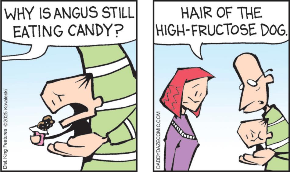 Fictional character OCR: Dist. King Features 2025 Kovaleski DADDYDAZECOMIC.COM WHY IS ANGUS STILL EATING CANDY? HAIR OF THE HIGH-FRUCTOSE DOG. Dist . King Features 2025 Kovaleski DADDYDAZECOMIC.COM WHY IS ANGUS STILL EATING CANDY ? HAIR OF THE HIGH - FRUCTOSE DOG .