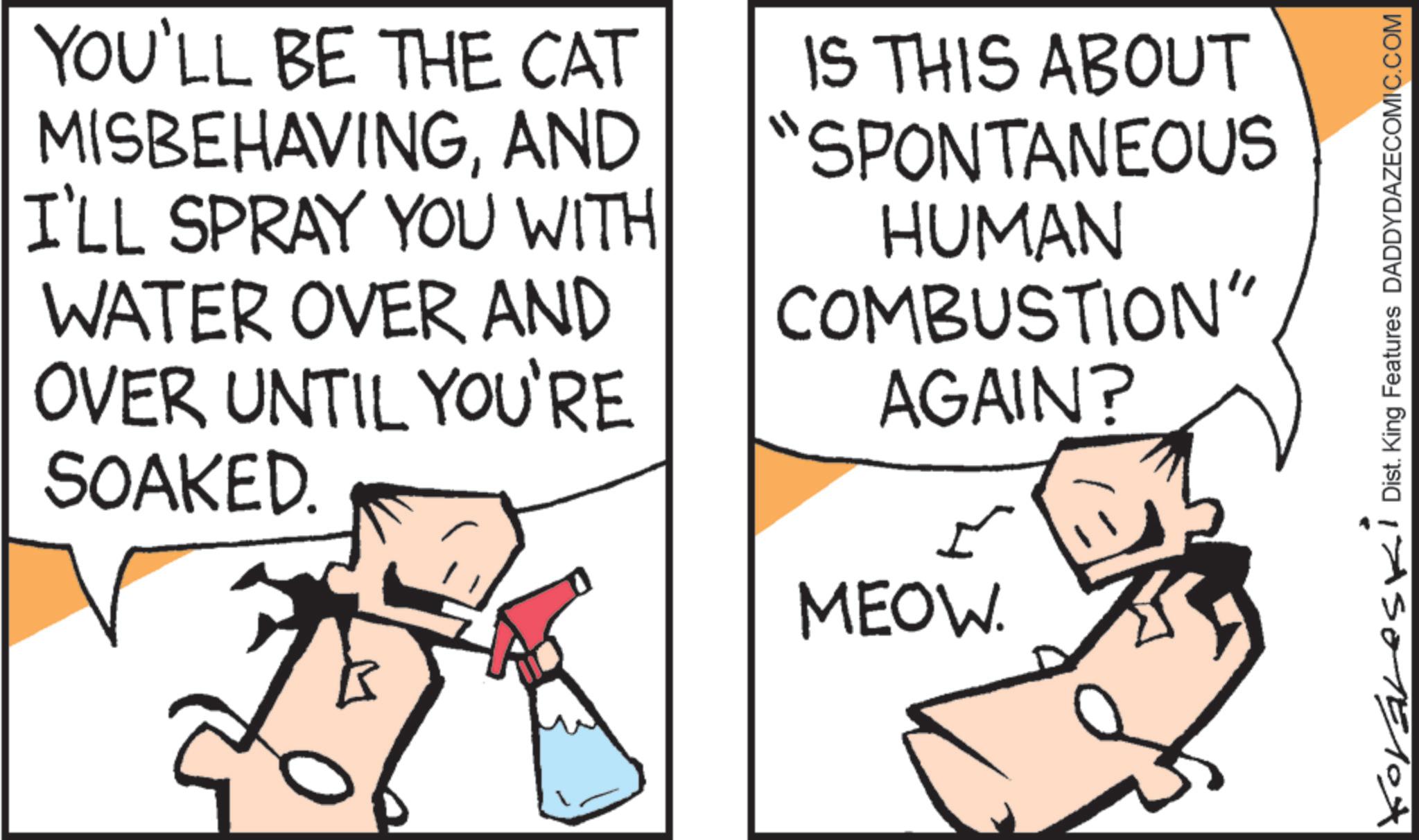 Fiction OCR: YOU'LL BE THE CAT MISBEHAVINGAND I'LL SPRAY YOU WITH WATER OVER AND OVER UNTIL YOU'RE SOAKED. IS THIS ABOUT "SPONTANEOUS HUMAN COMBUSTION" AGAIN? ?? MEOW. Dist. King Features DADDYDAZECOMIC.COM ASOTELOX YOU'LL BE THE CAT MISBEHAVINGAND I'LL SPRAY YOU WITH WATER OVER AND OVER UNTIL YOU'RE SOAKED . IS THIS ABOUT " SPONTANEOUS HUMAN COMBUSTION " AGAIN ? ?? MEOW . Dist . King Features DADDYDAZECOMIC.COM ASOTELOX