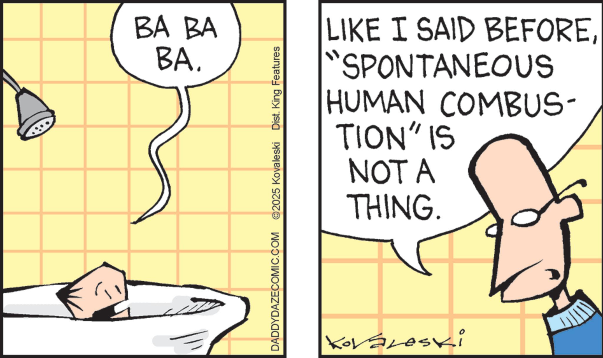 Humour OCR: BA BA BA. DADDYDAZECOMIC.COM 02025 Kovaleski Dist. King Features LIKE I SAID BEFORE"SPONTANEOUS HUMAN COMBUS- TION" IS NOT A THING. G Koraleski BA BA BA . DADDYDAZECOMIC.COM 02025 Kovaleski Dist . King Features LIKE I SAID BEFORE" SPONTANEOUS HUMAN COMBUS- TION " IS NOT A THING . G Koraleski